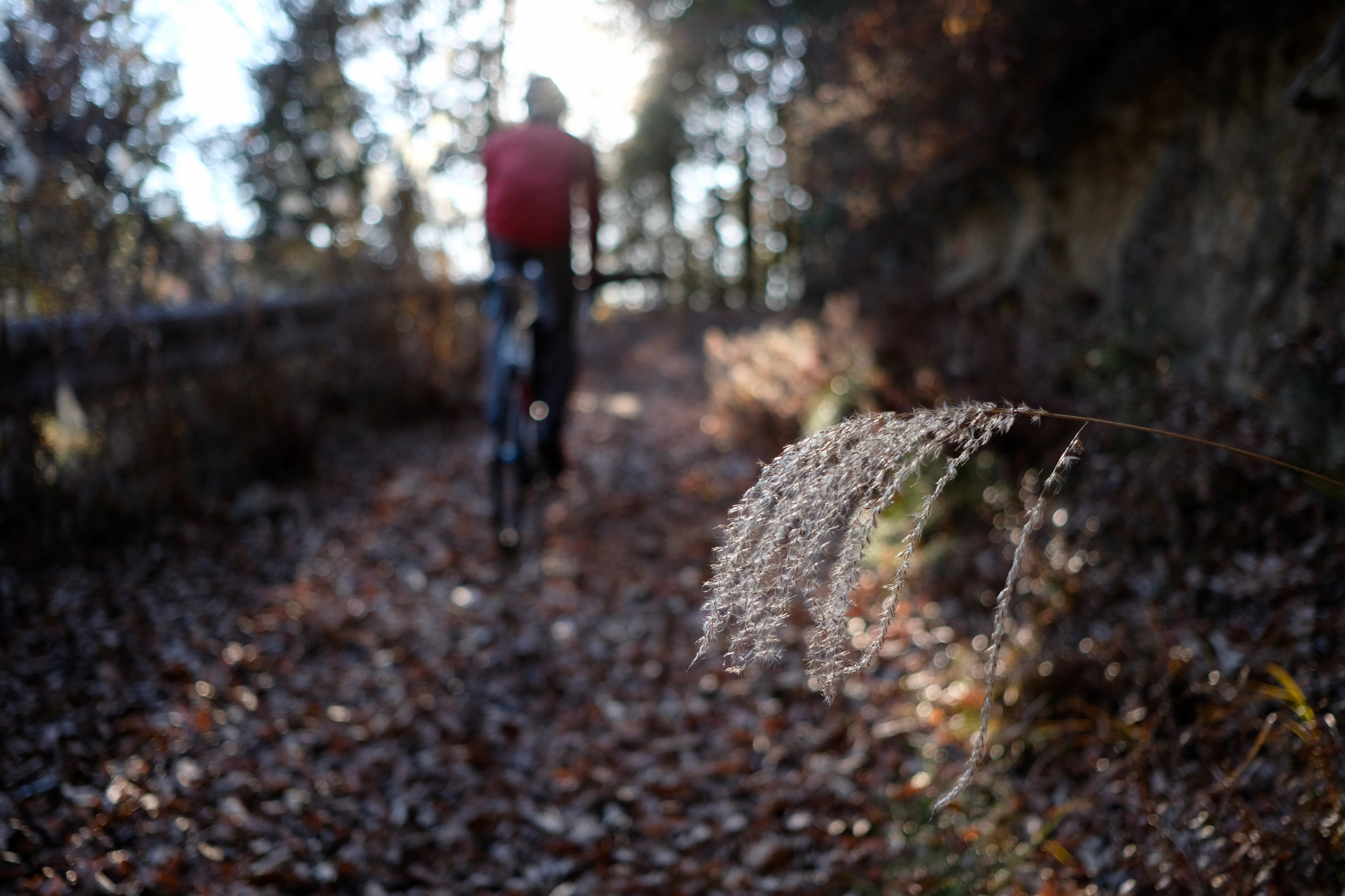 Essential for the Winter…