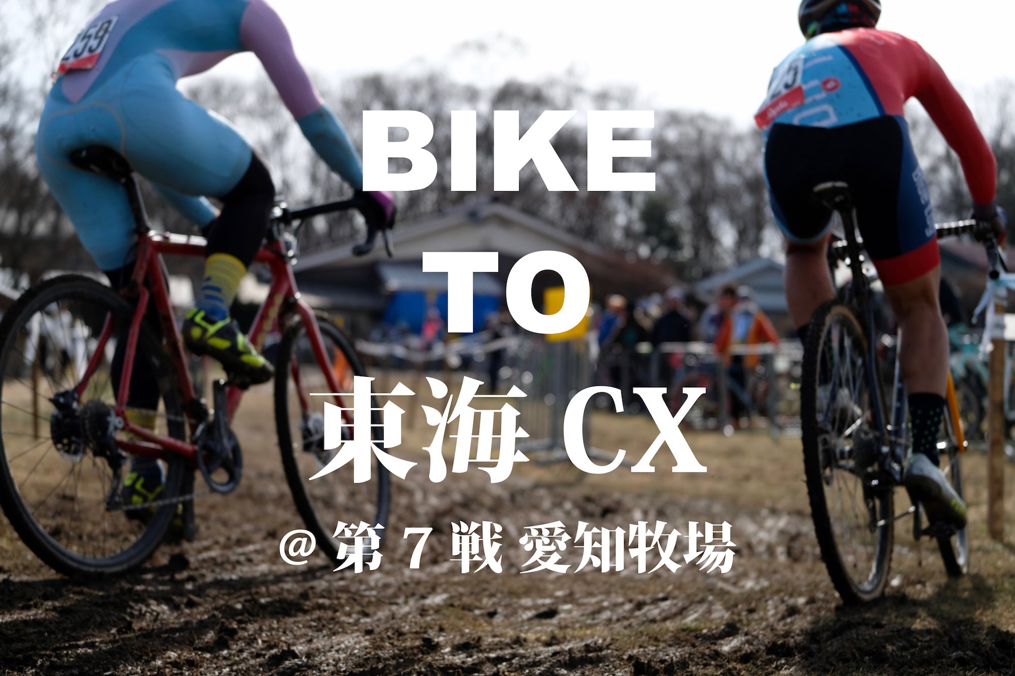 今週末はお祭り騒ぎ!