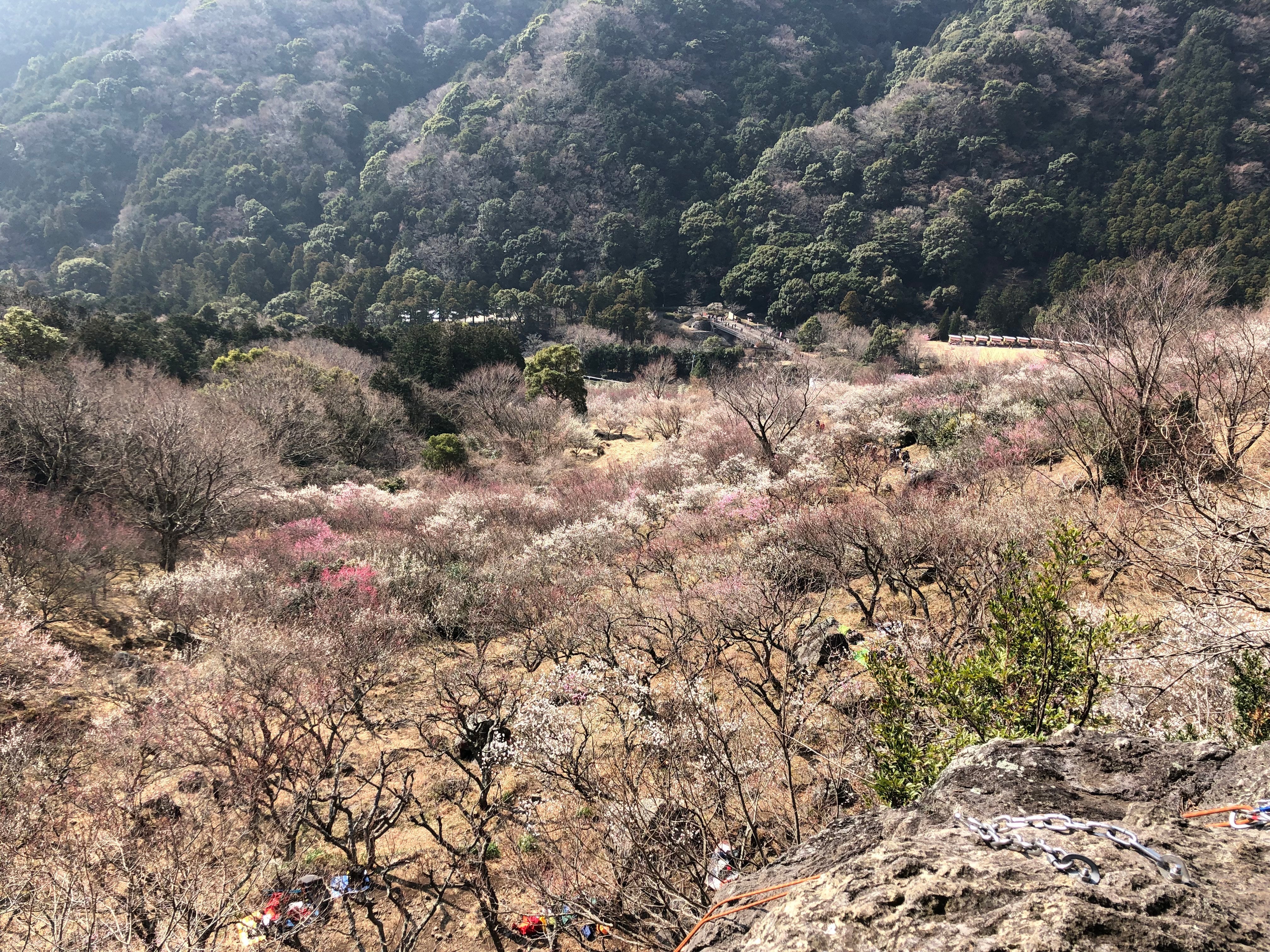 休日は岩に登っていました。