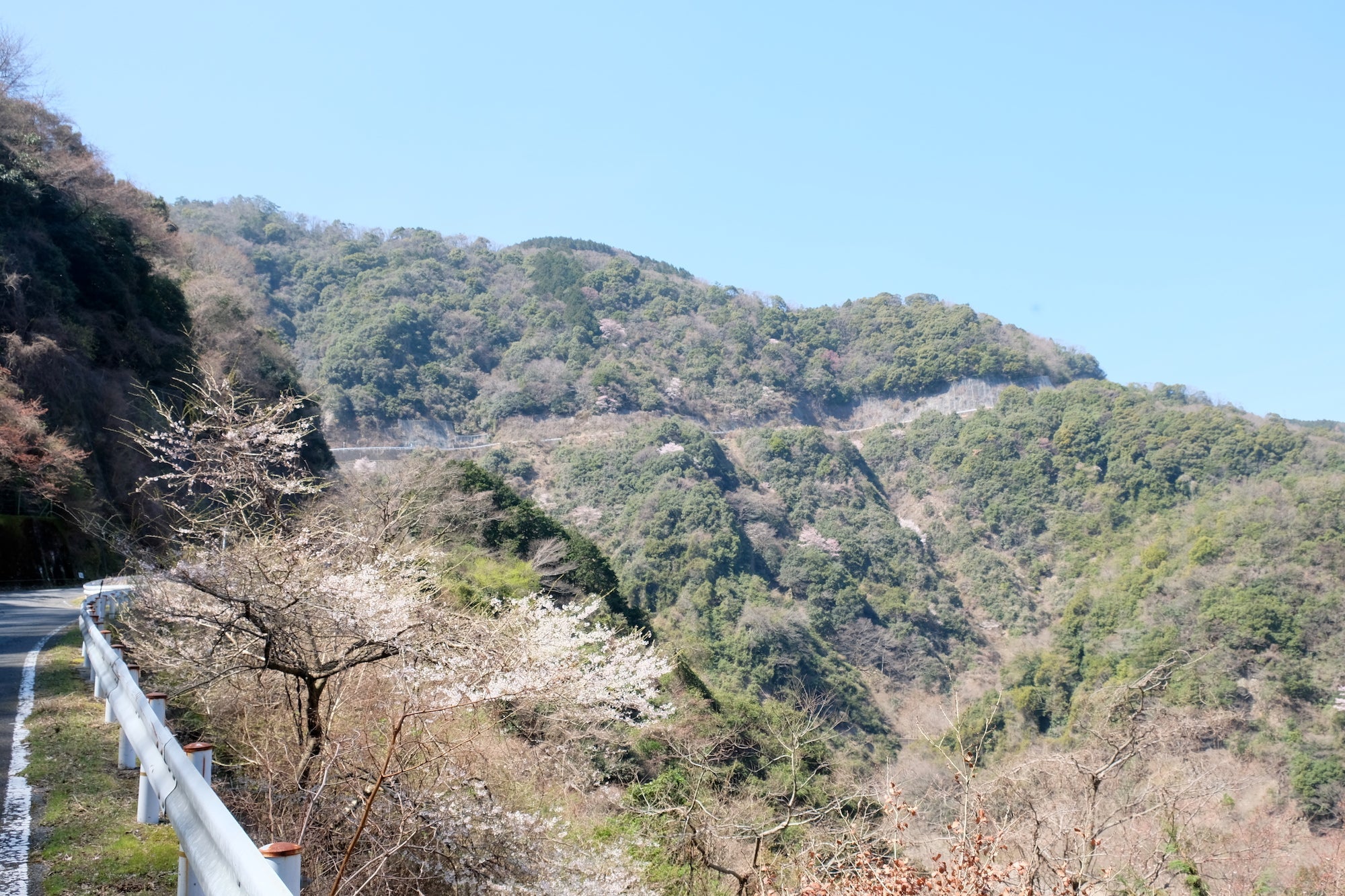 【似た者同士】みんな山が好き