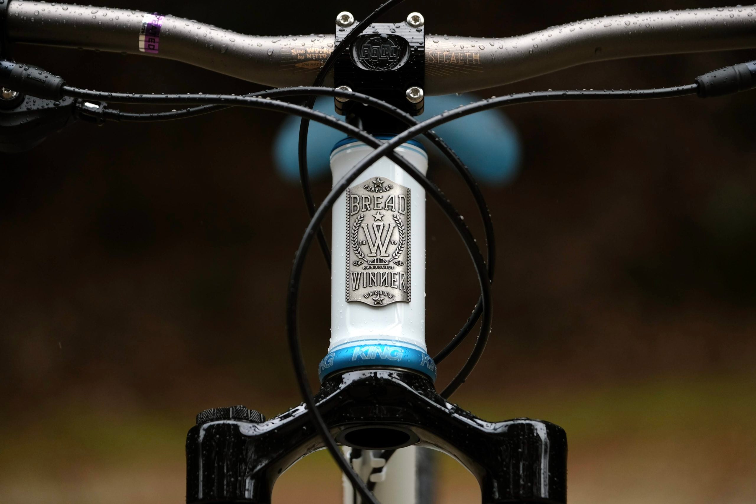 【BREADWINNER CYCLES】Custom MTB Drop in Outside!!