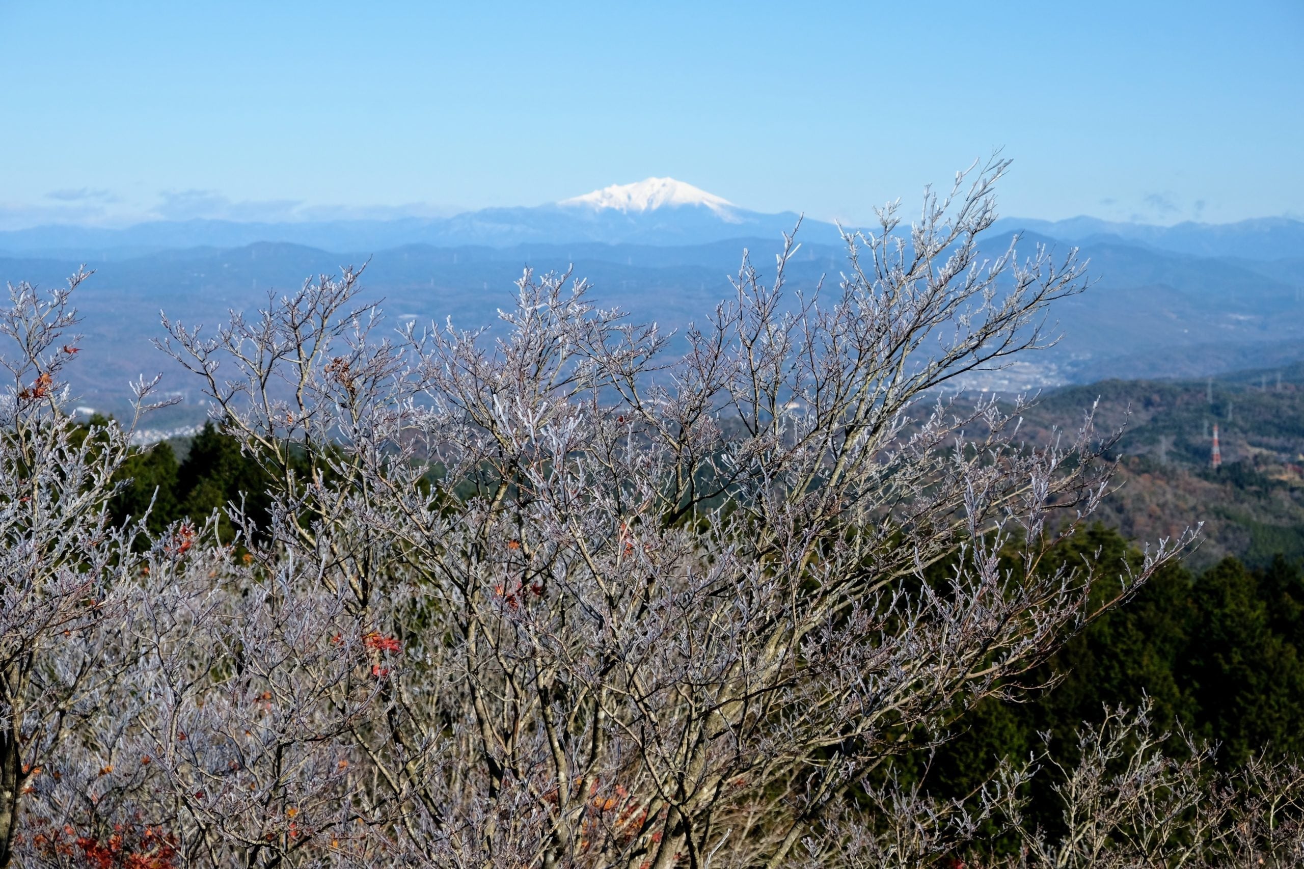 【HOLIDAY RIDE】いつもの道をいつもの仲間と