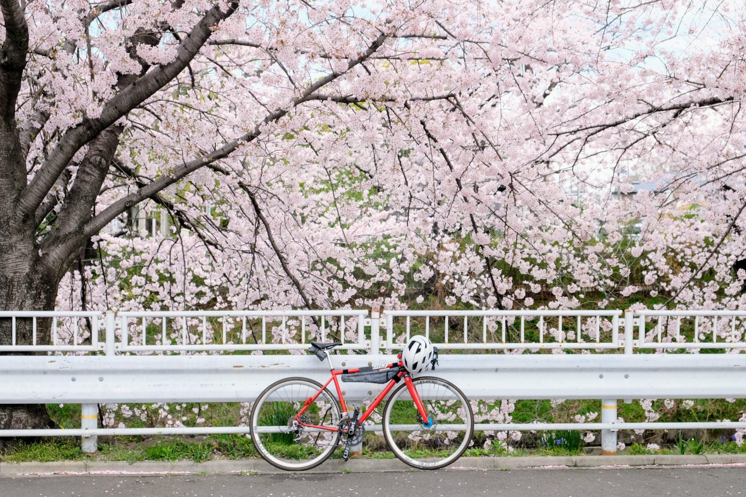 自転車に潜むリスクを知って楽しく乗ろう!