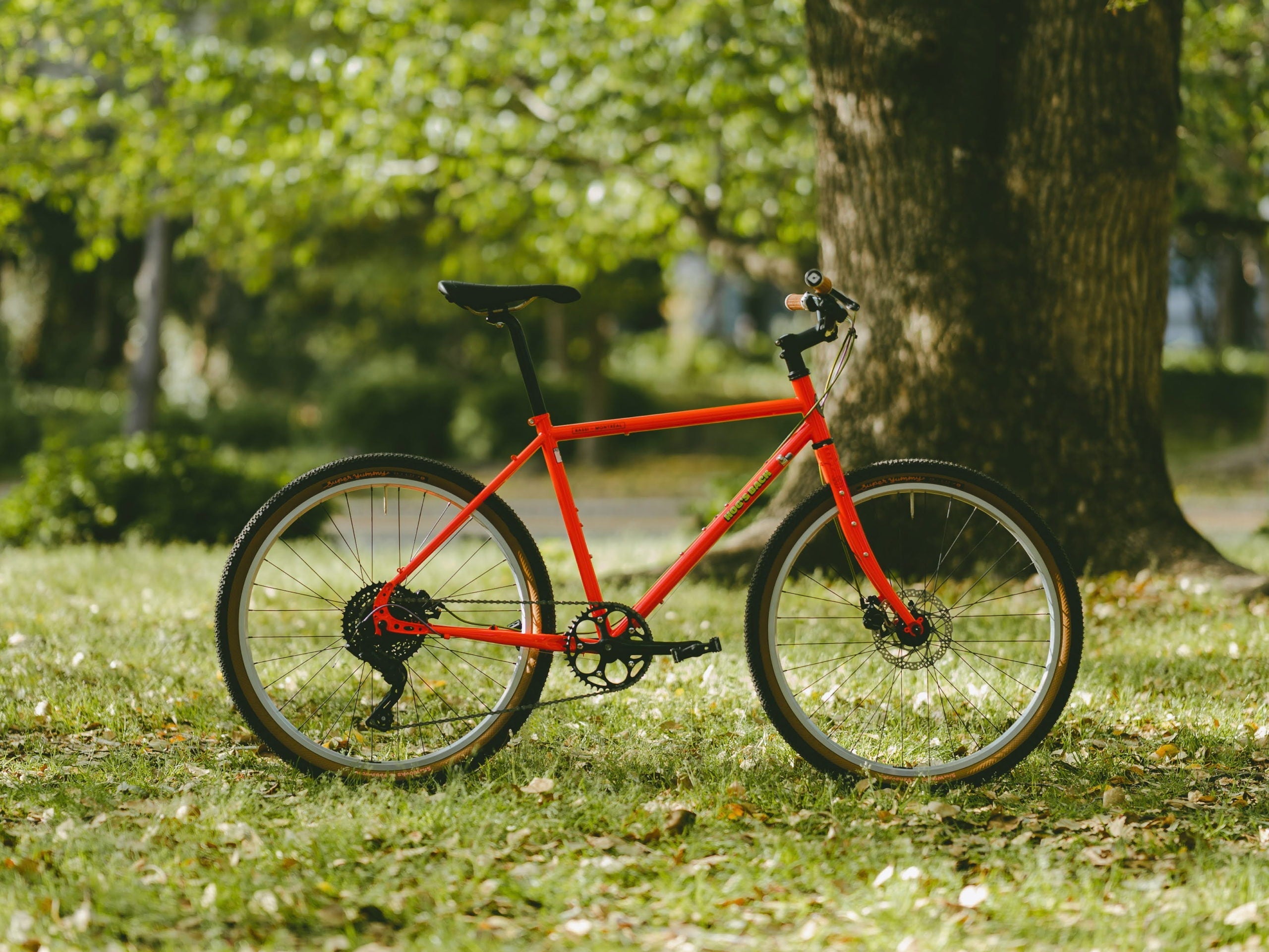 【BIKE of the WEEK】BASSI Hog’s Back