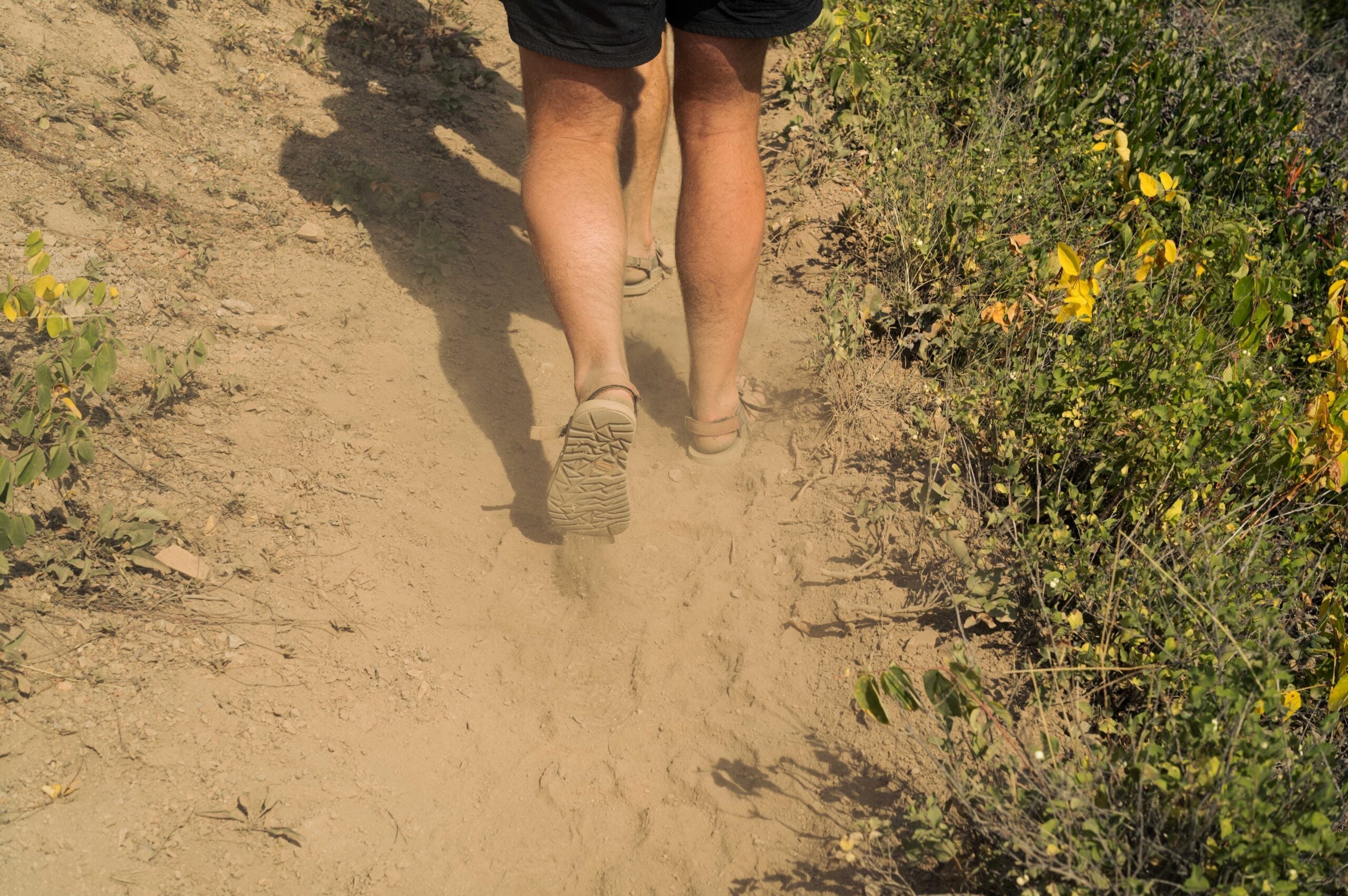 Stay Dusty – BEDROCK in Missoula, Montana –