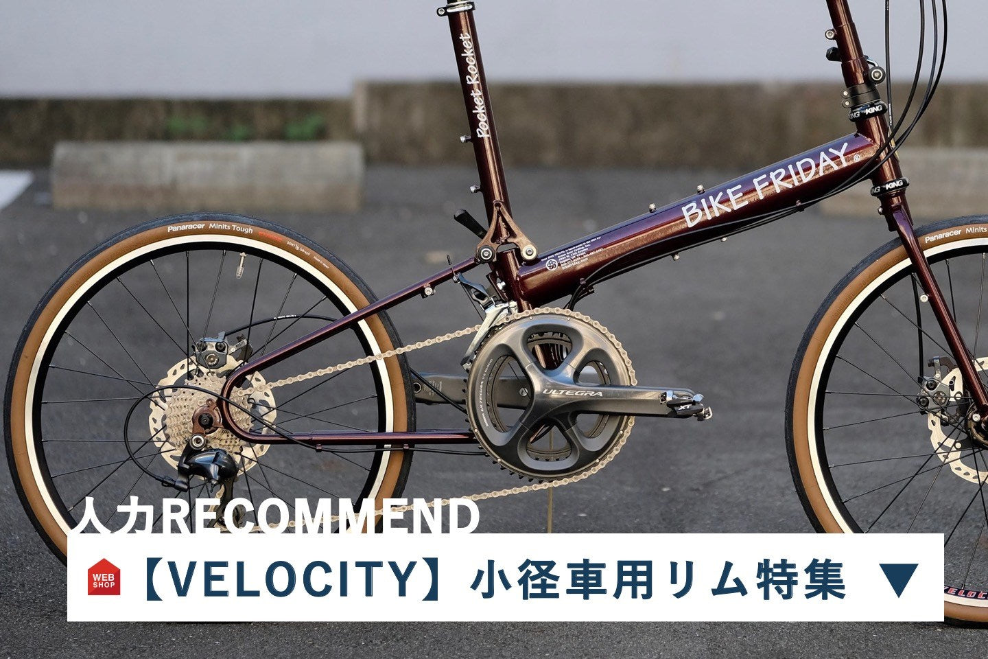 【VELOCITY】小径車用リム特集