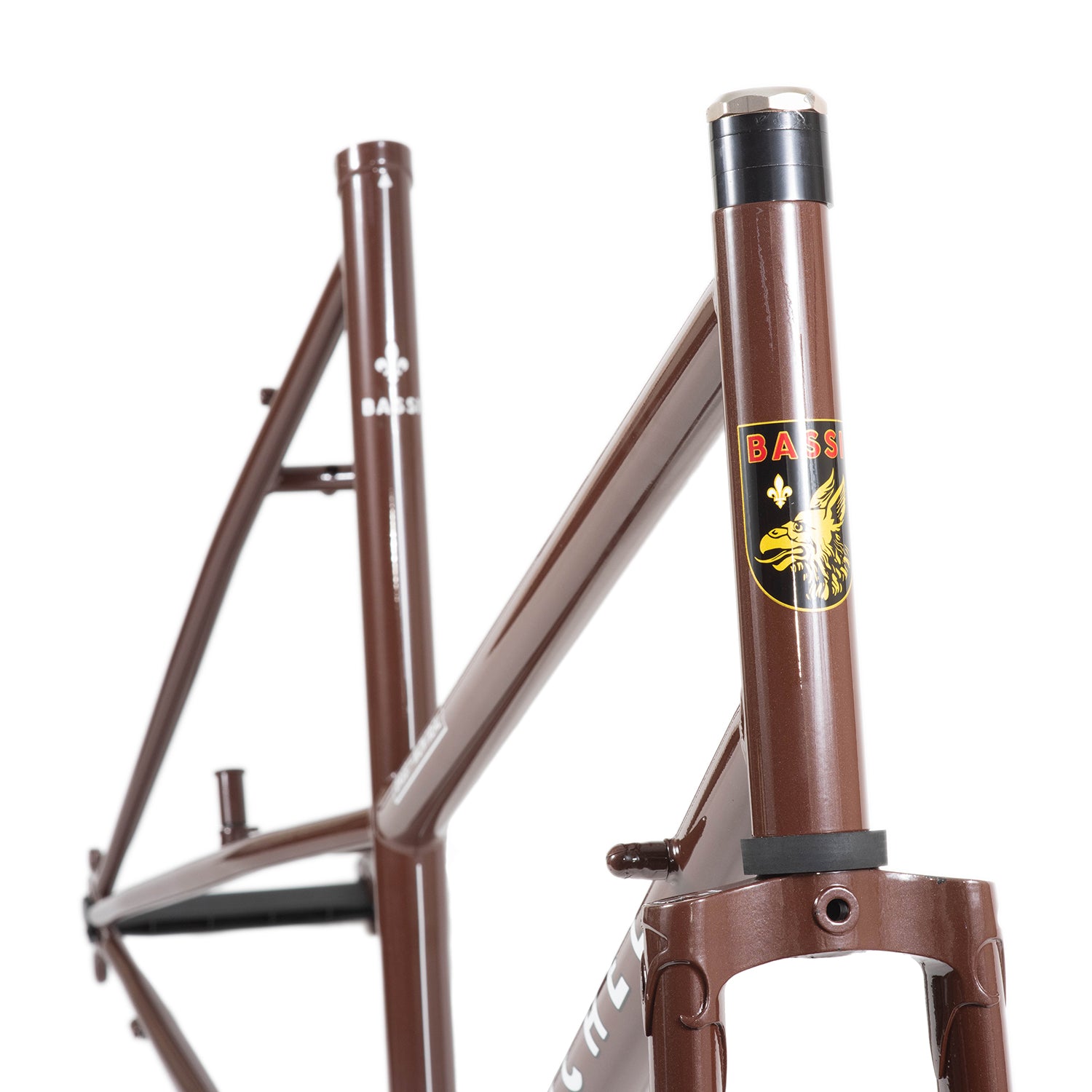 BASSI BIKES Rachel Frameset
