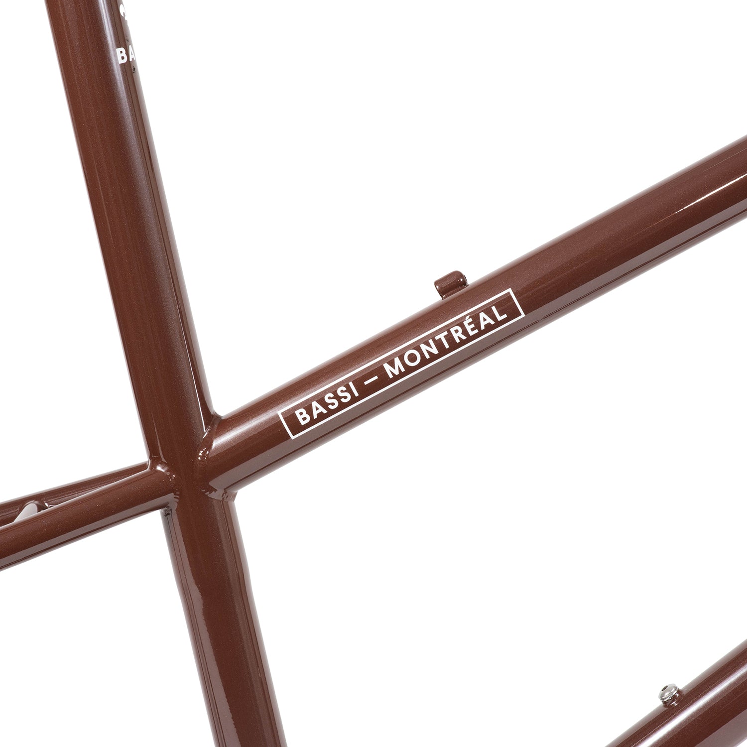 BASSI BIKES Rachel Frameset