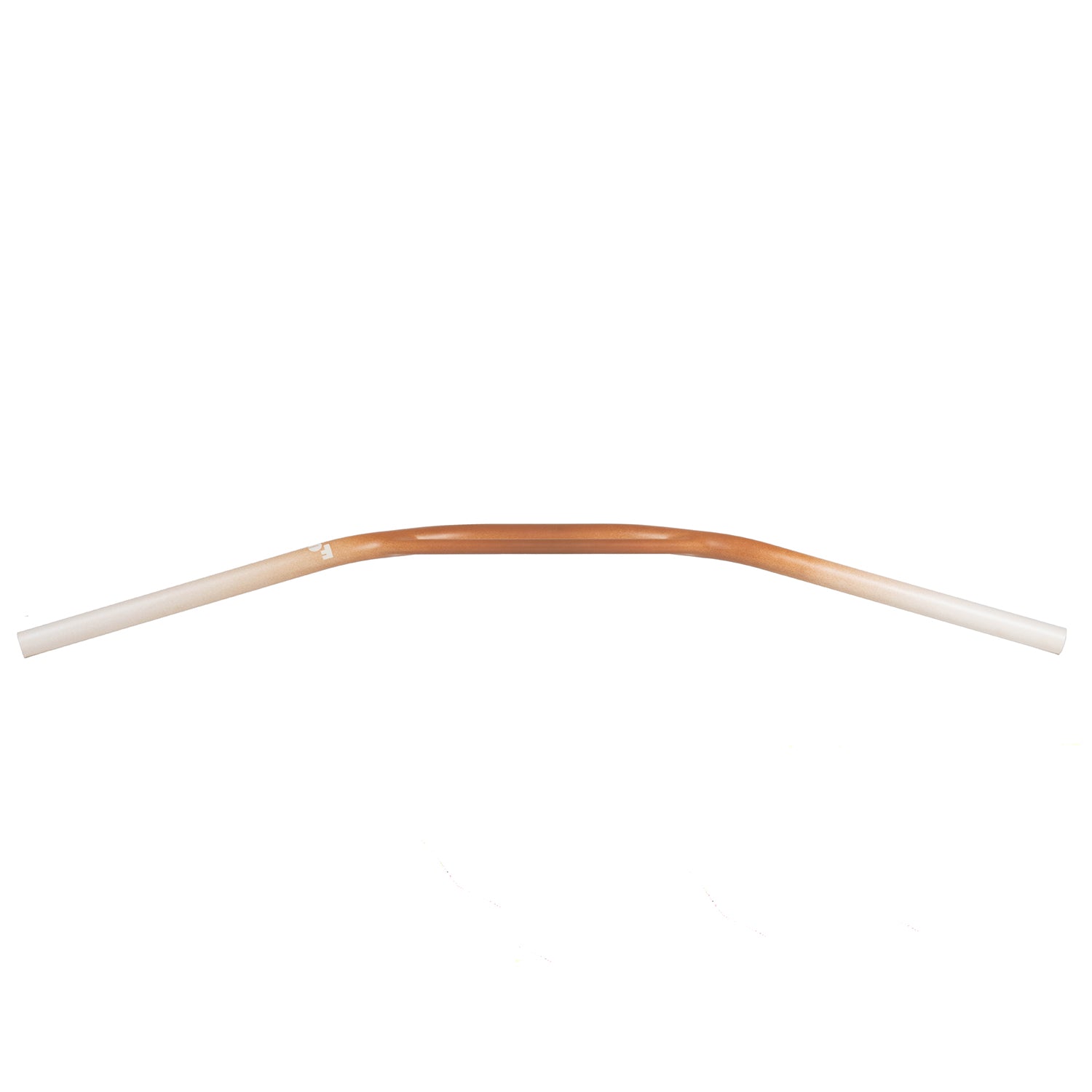 FORAGER CYCLES Oyster Bar