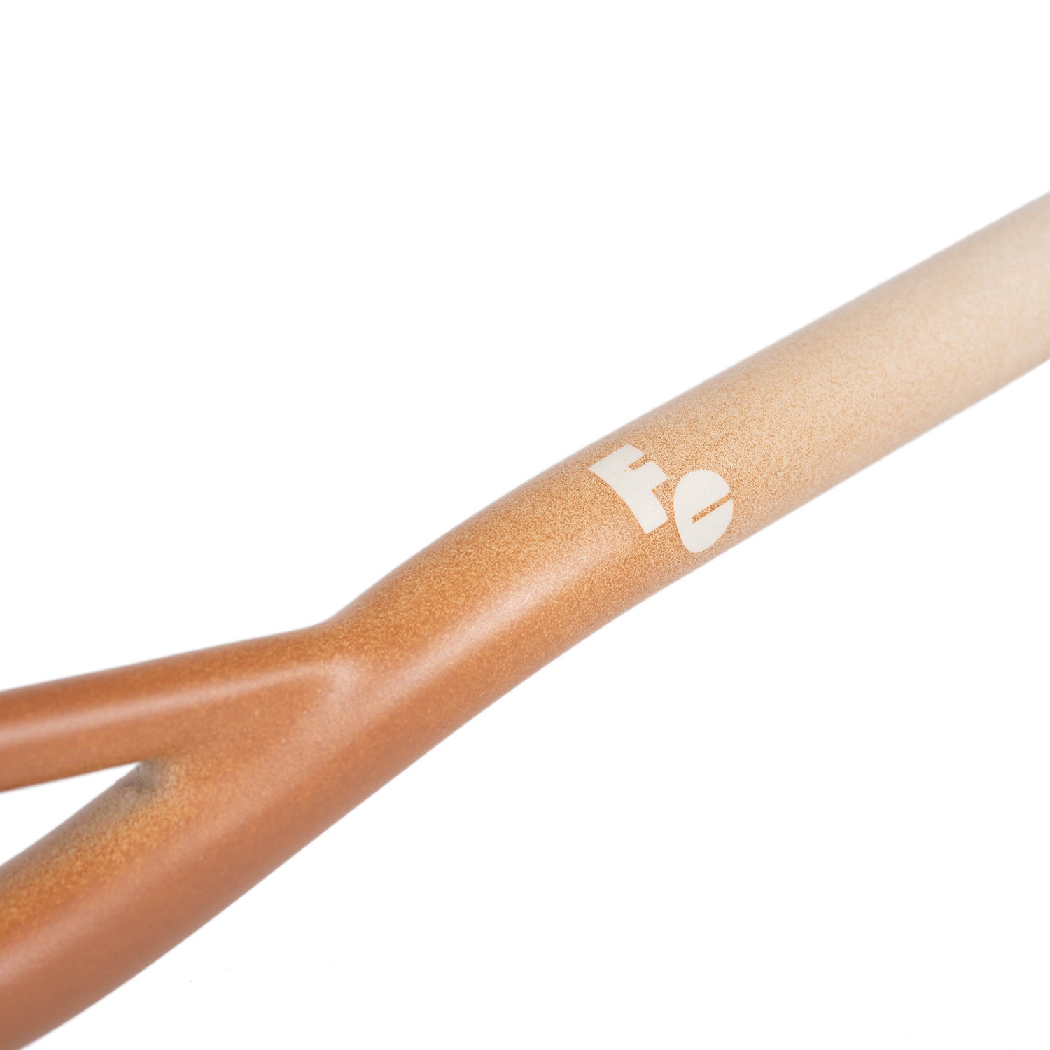 FORAGER CYCLES Oyster Bar