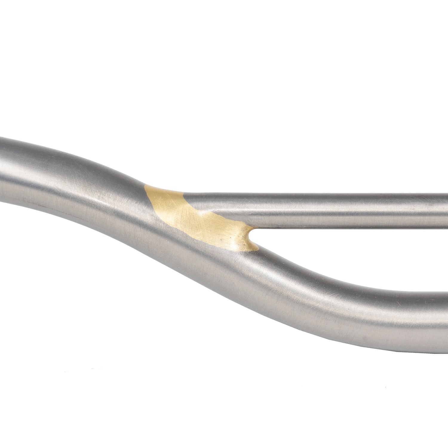 FORAGER CYCLES Oyster Bar