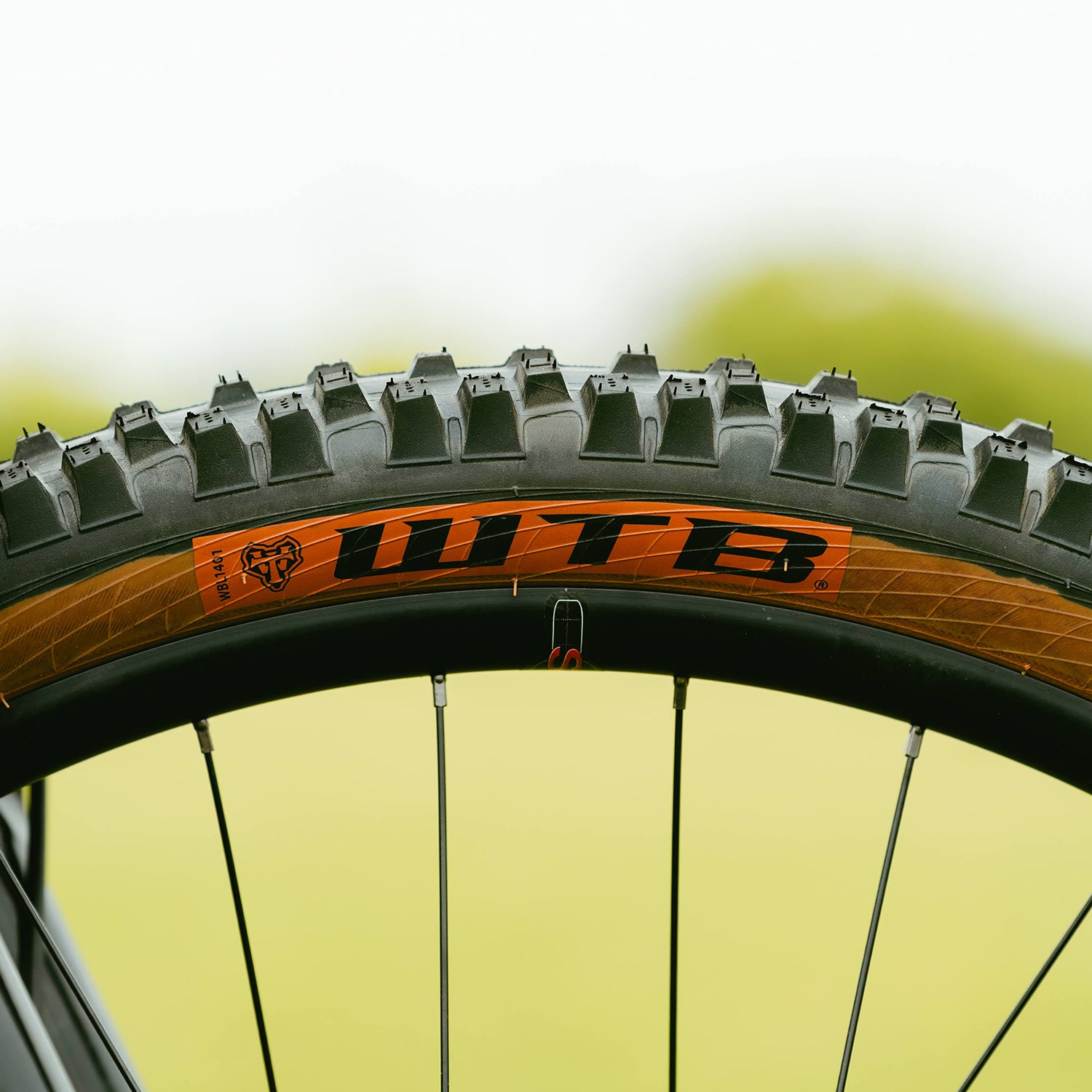 WILDE BICYCLE Dark Star Circles Original Complete Bike