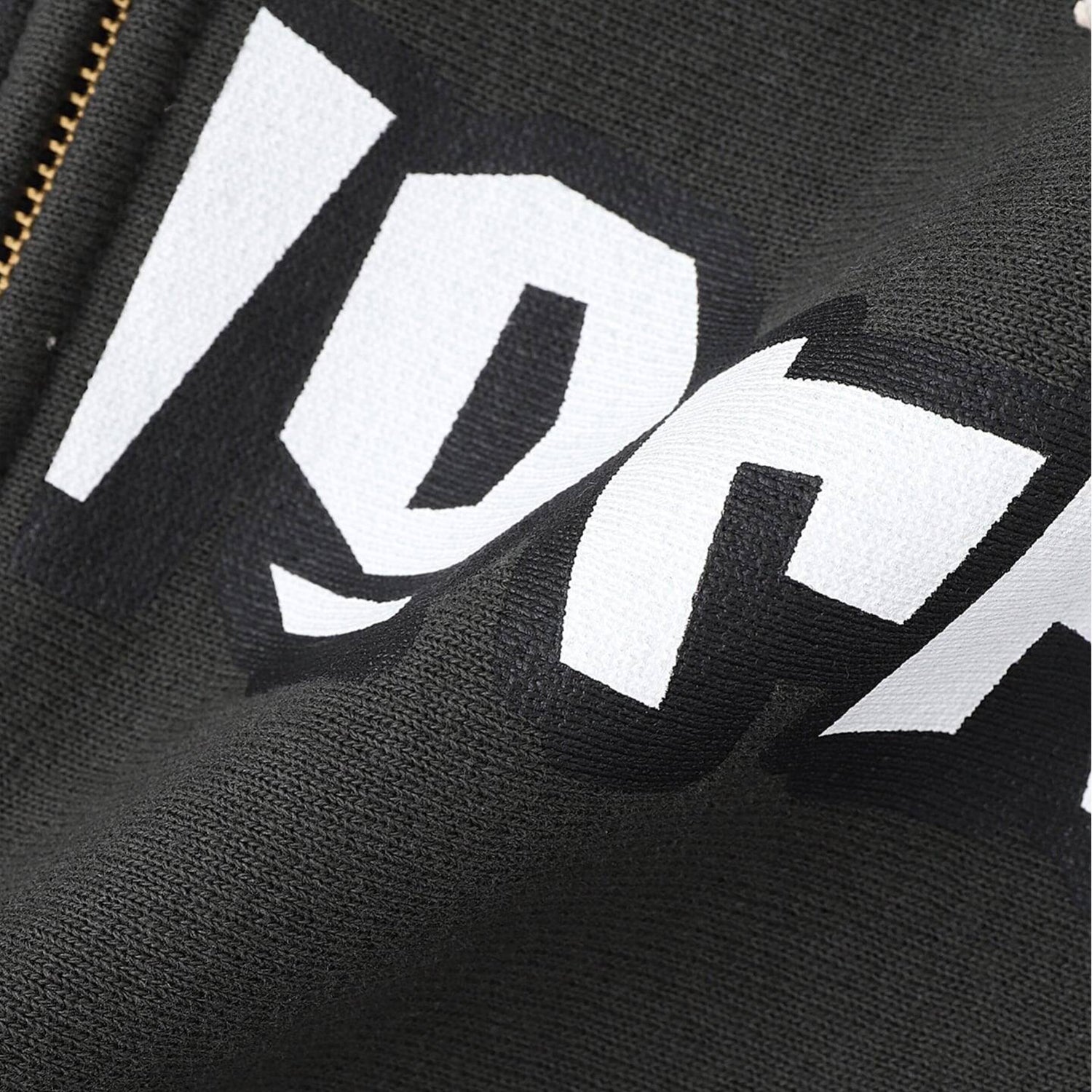 CHAMPION SIMWORKS Logo Zip Hoodie