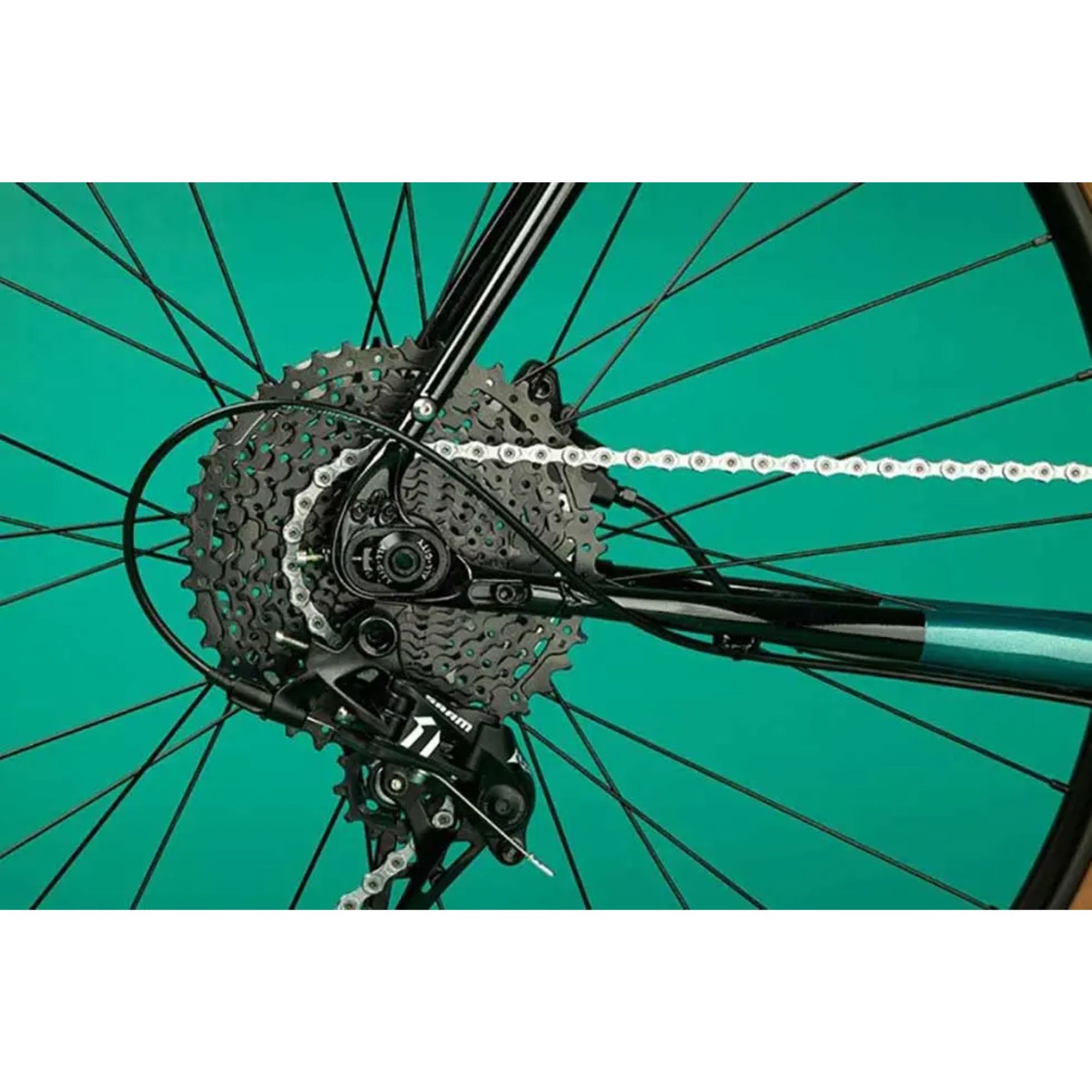 ALL-CITY Super Professional Apex1