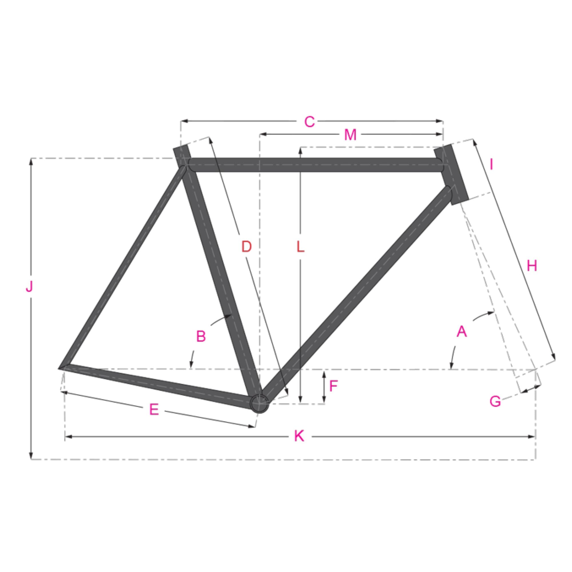 ALL-CITY Super Professional Apex1