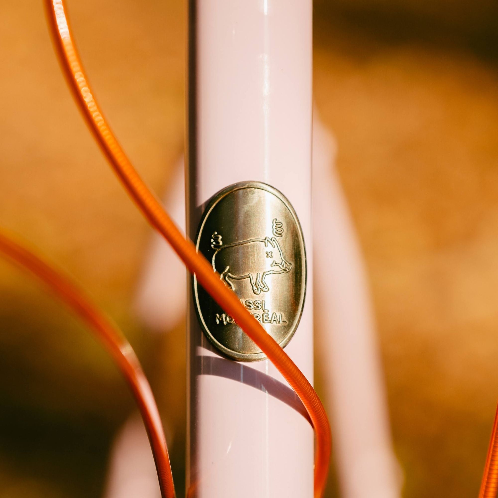 BASSI BIKES Hog's Back × To Smile Bar Adventure