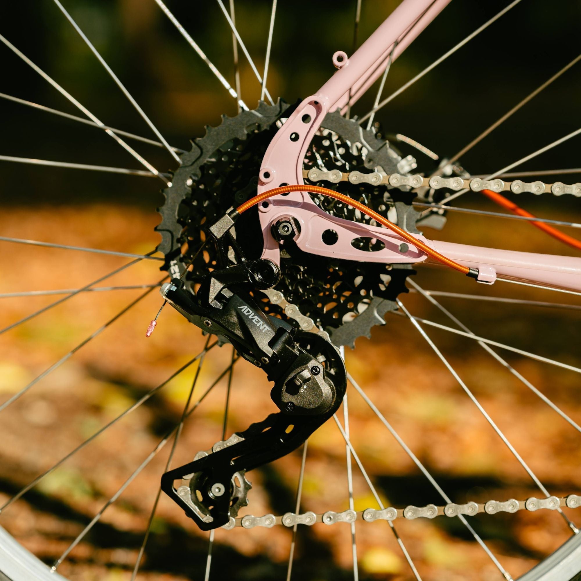 BASSI BIKES Hog's Back × To Smile Bar Adventure