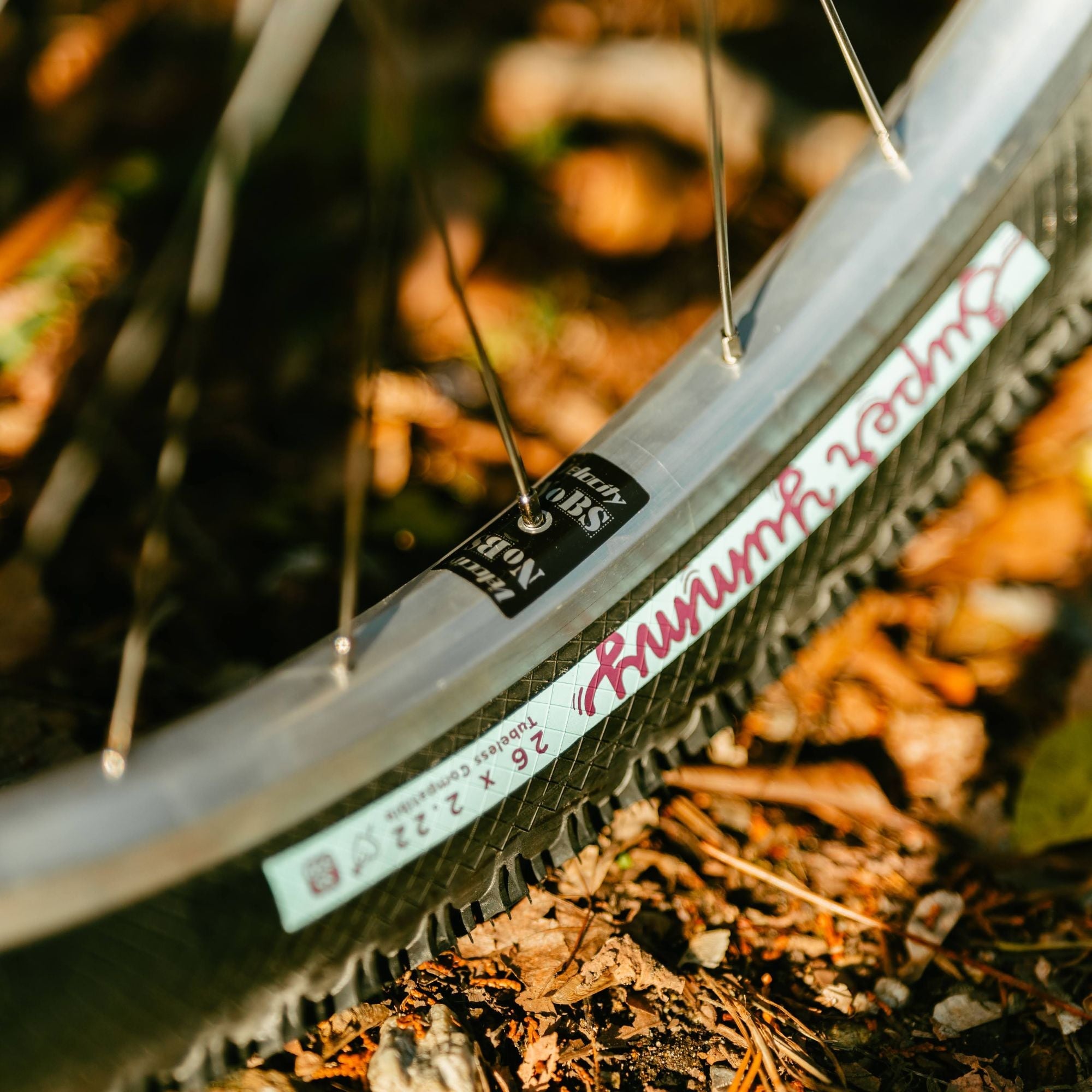 BASSI BIKES Hog's Back × To Smile Bar Adventure