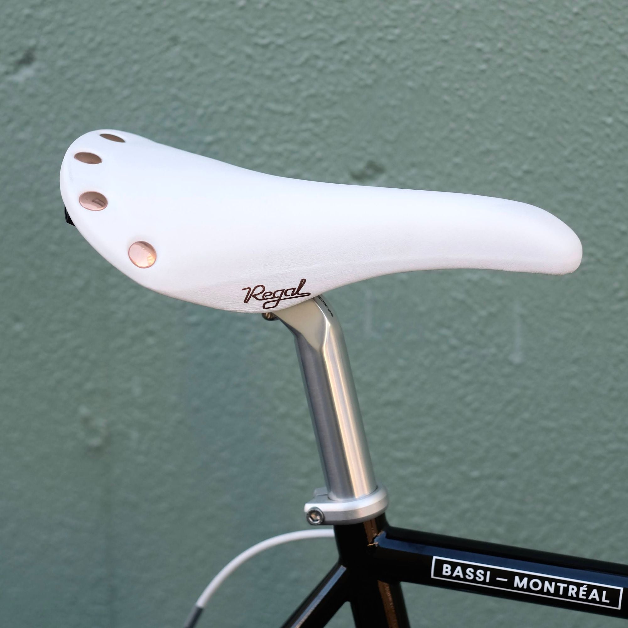 BASSI BIKES Montreal Complete Bike