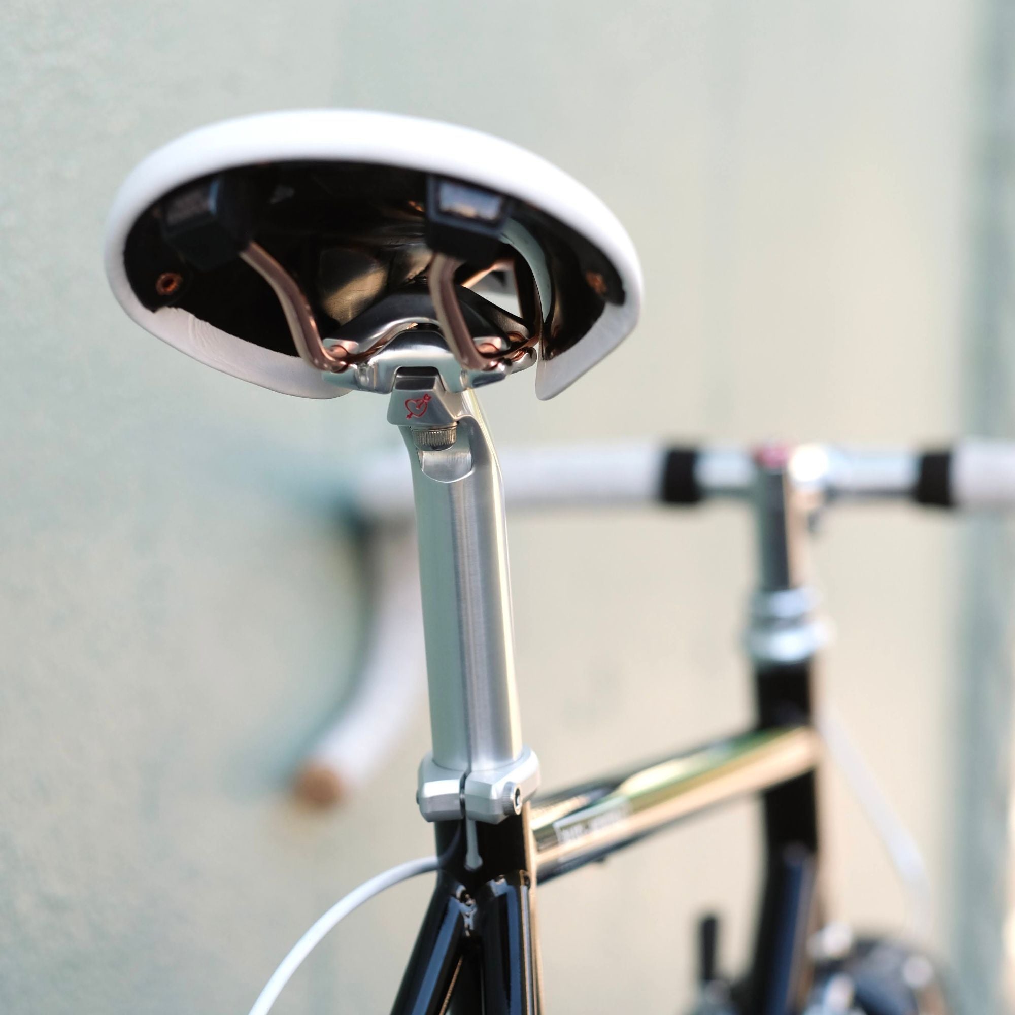 BASSI BIKES Montreal Complete Bike