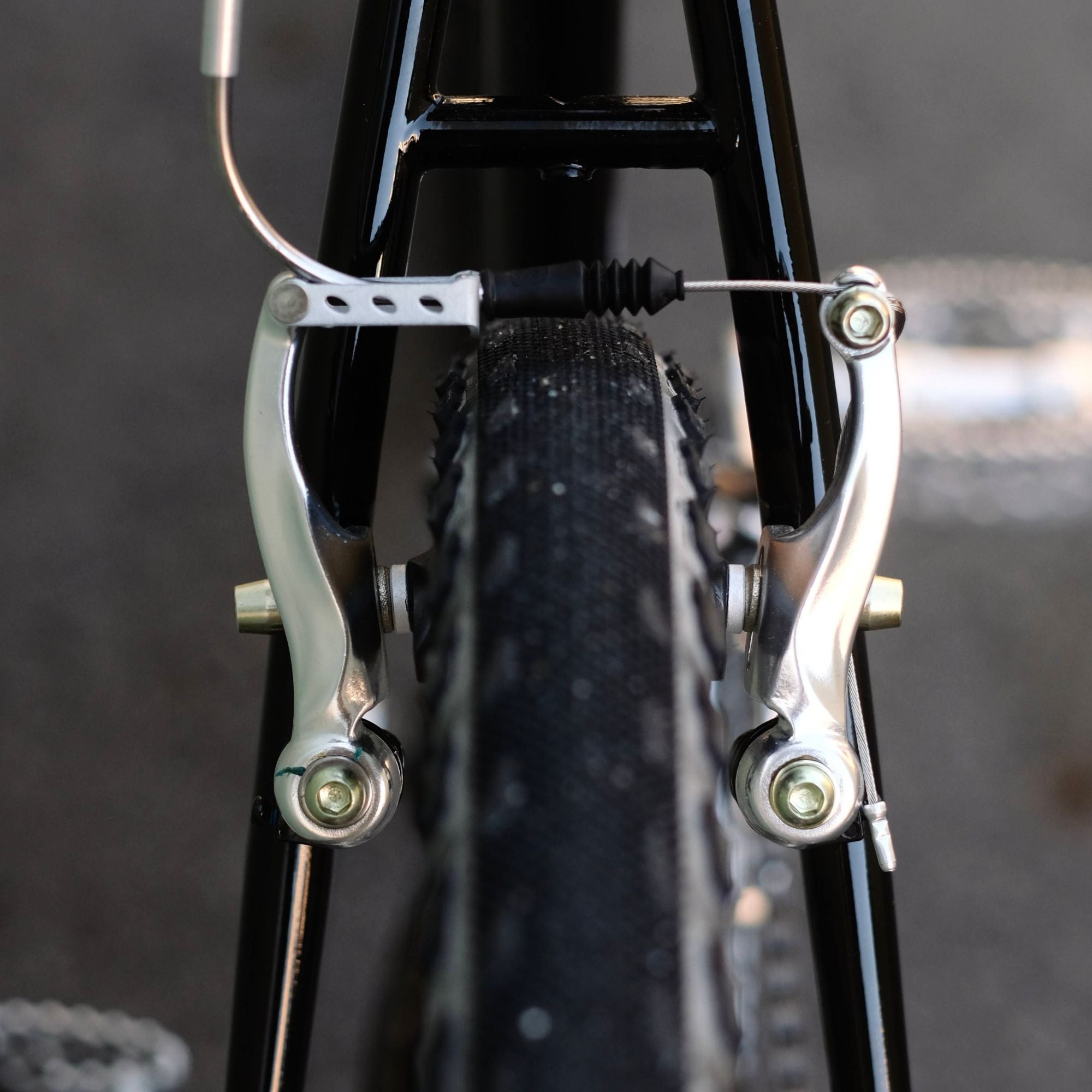 BASSI BIKES Montreal Complete Bike