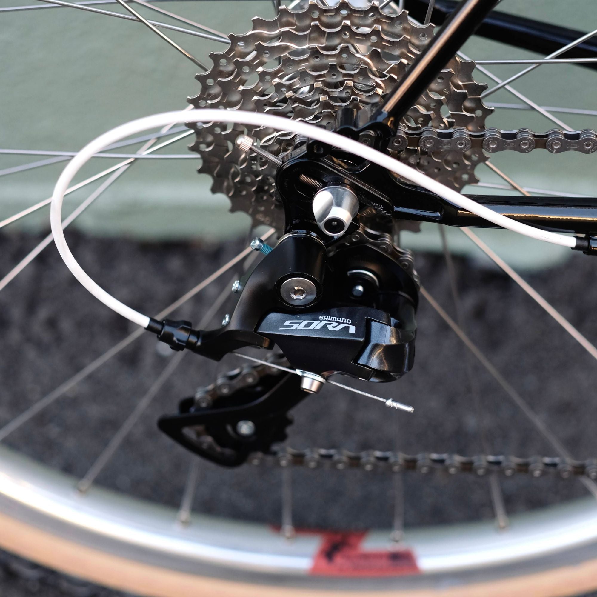 BASSI BIKES Montreal Complete Bike