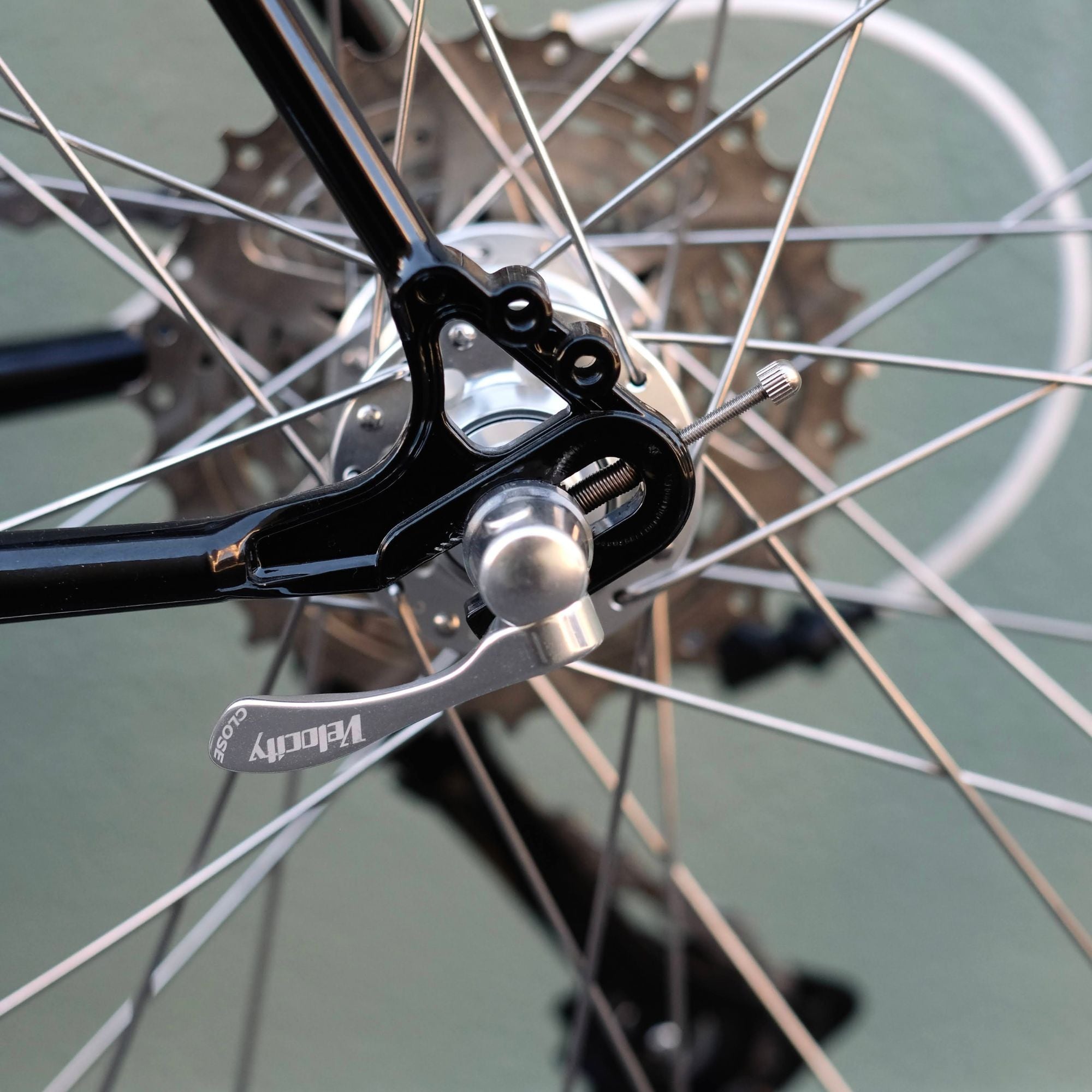 BASSI BIKES Montreal Complete Bike