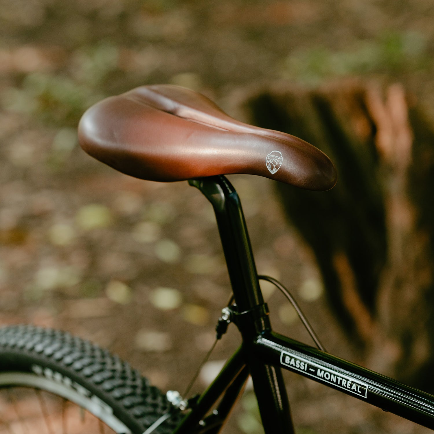 BASSI BIKES Le Montreal Circles Original Complete Bike