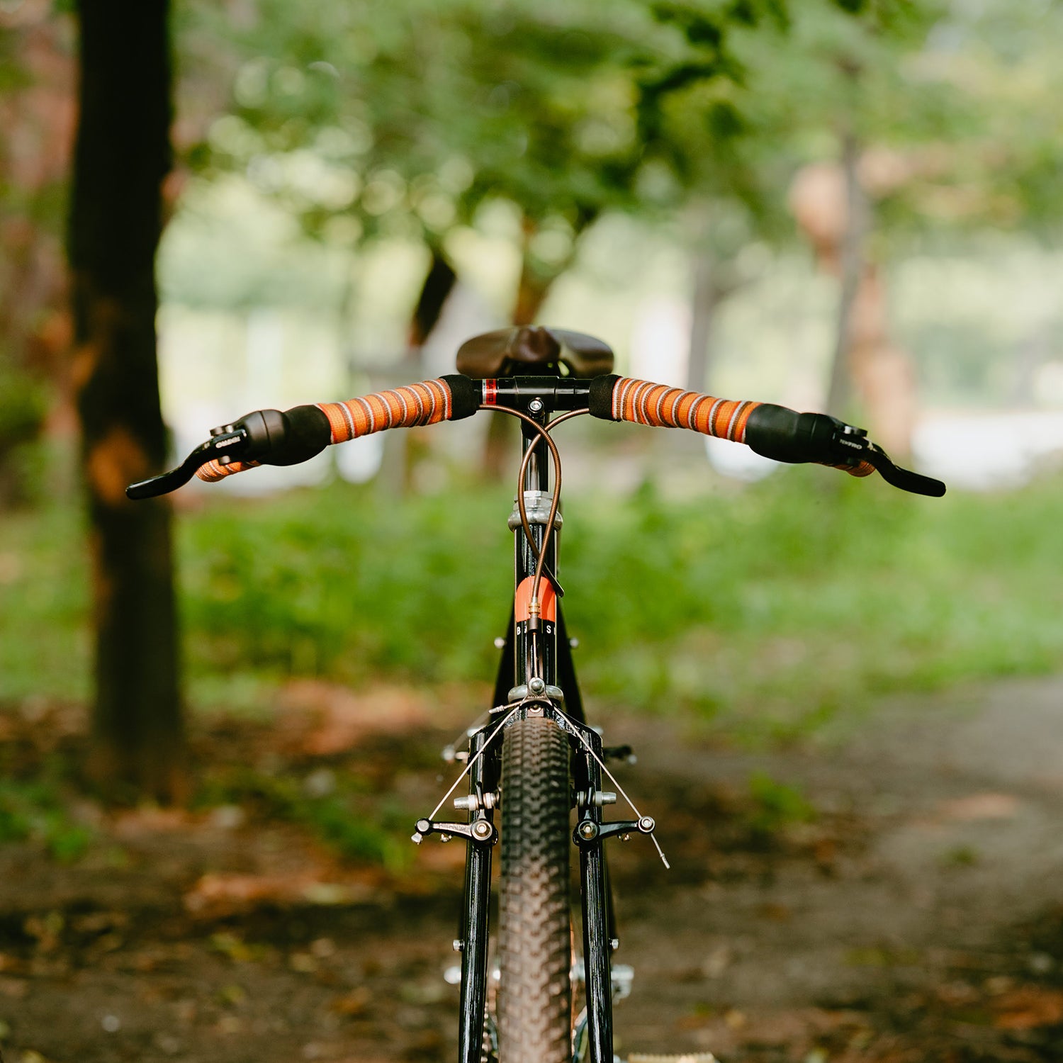 BASSI BIKES Le Montreal Circles Original Complete Bike