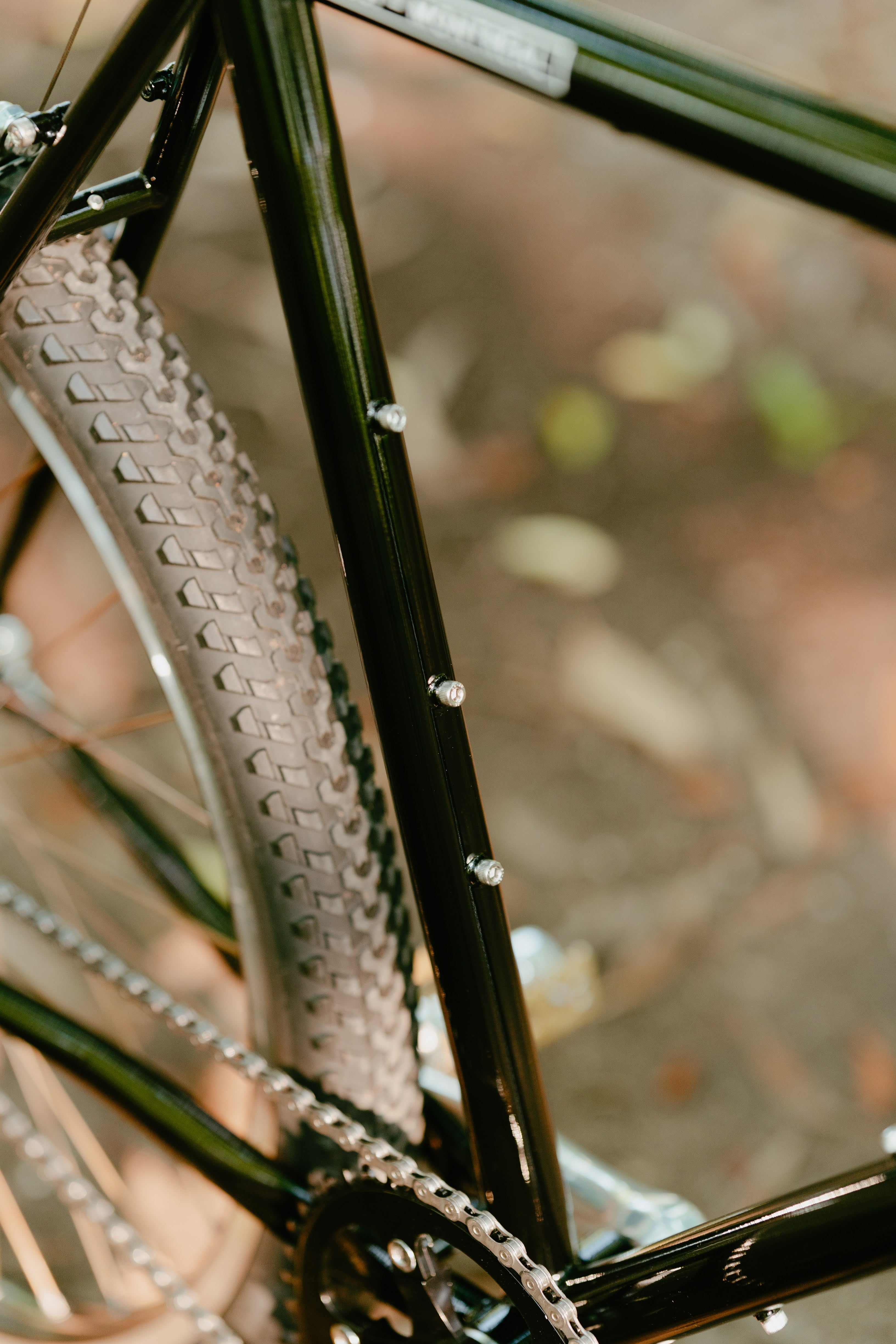 BASSI BIKES Le Montréal V3 Frame Set