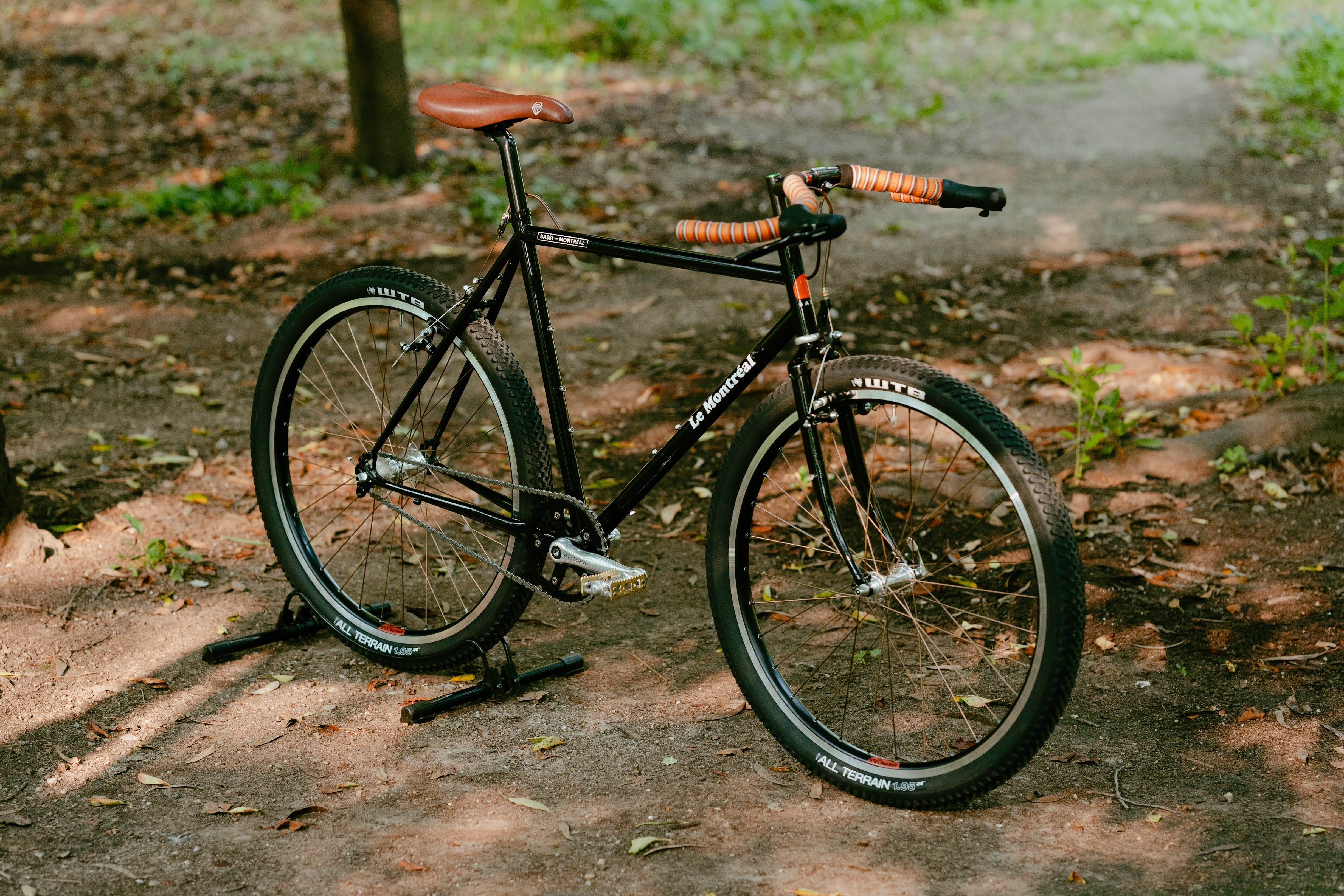 BASSI BIKES Le Montréal V3 Frame Set
