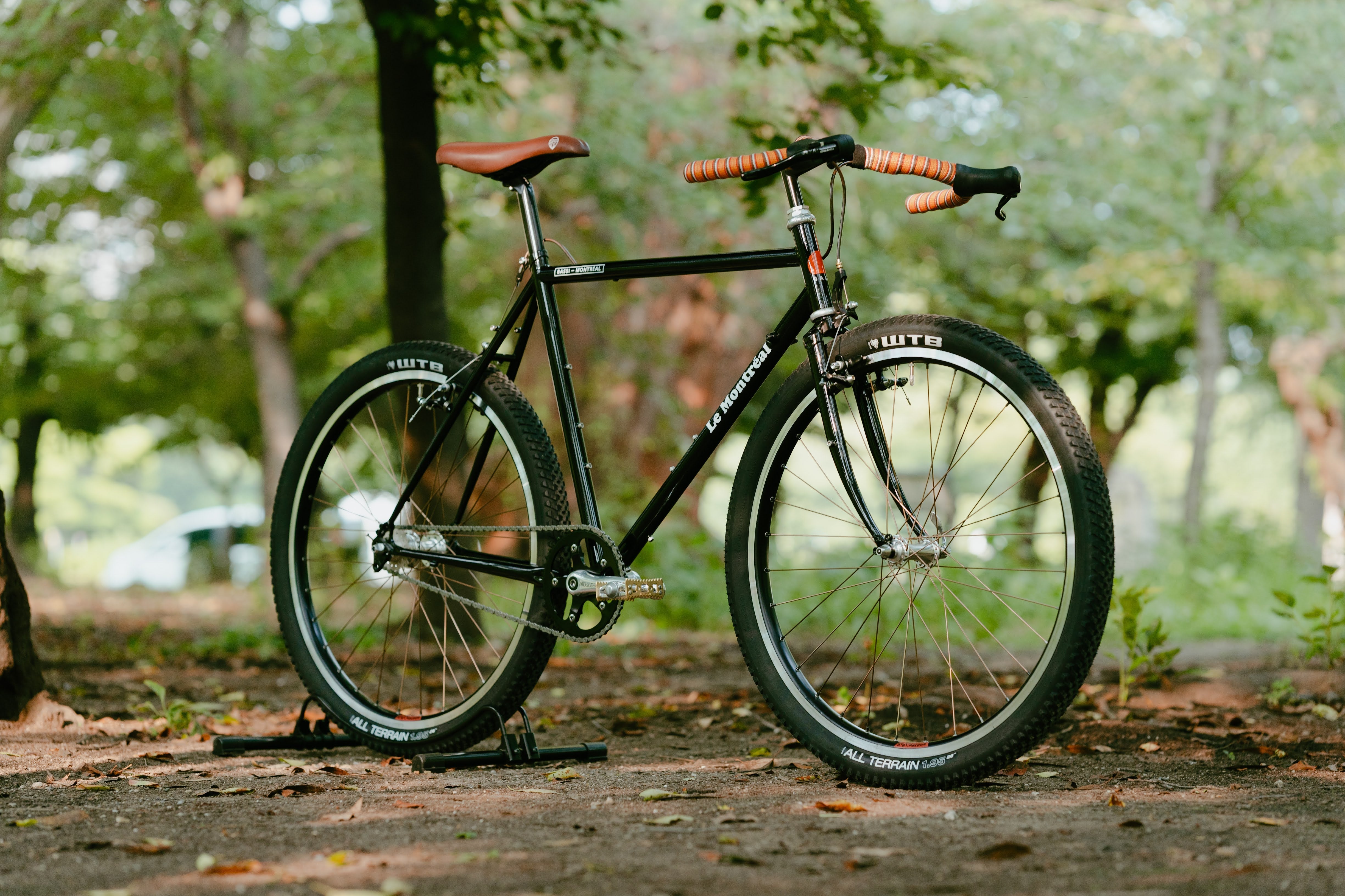 BASSI BIKES Le Montréal V3 Frame Set