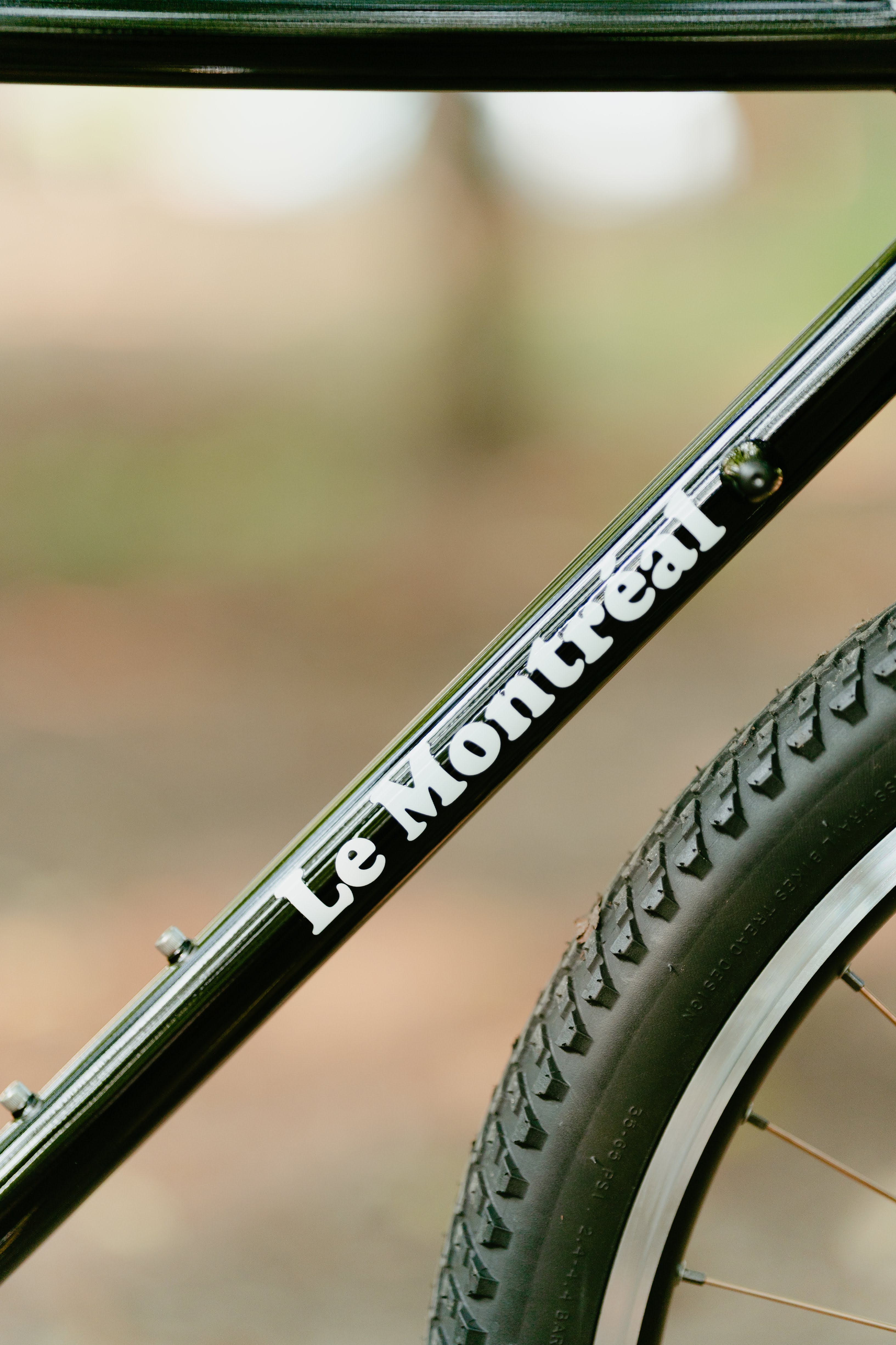 BASSI BIKES Le Montréal V3 Frame Set