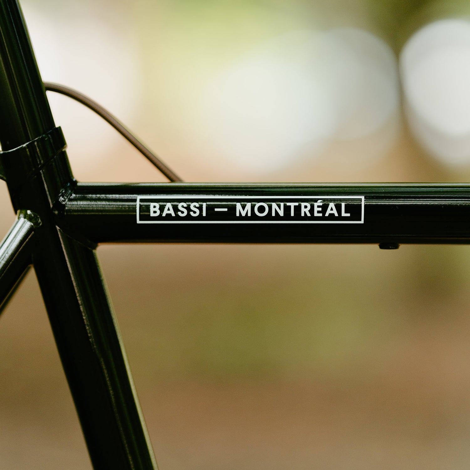 BASSI BIKES Le Montreal Circles Original Complete Bike
