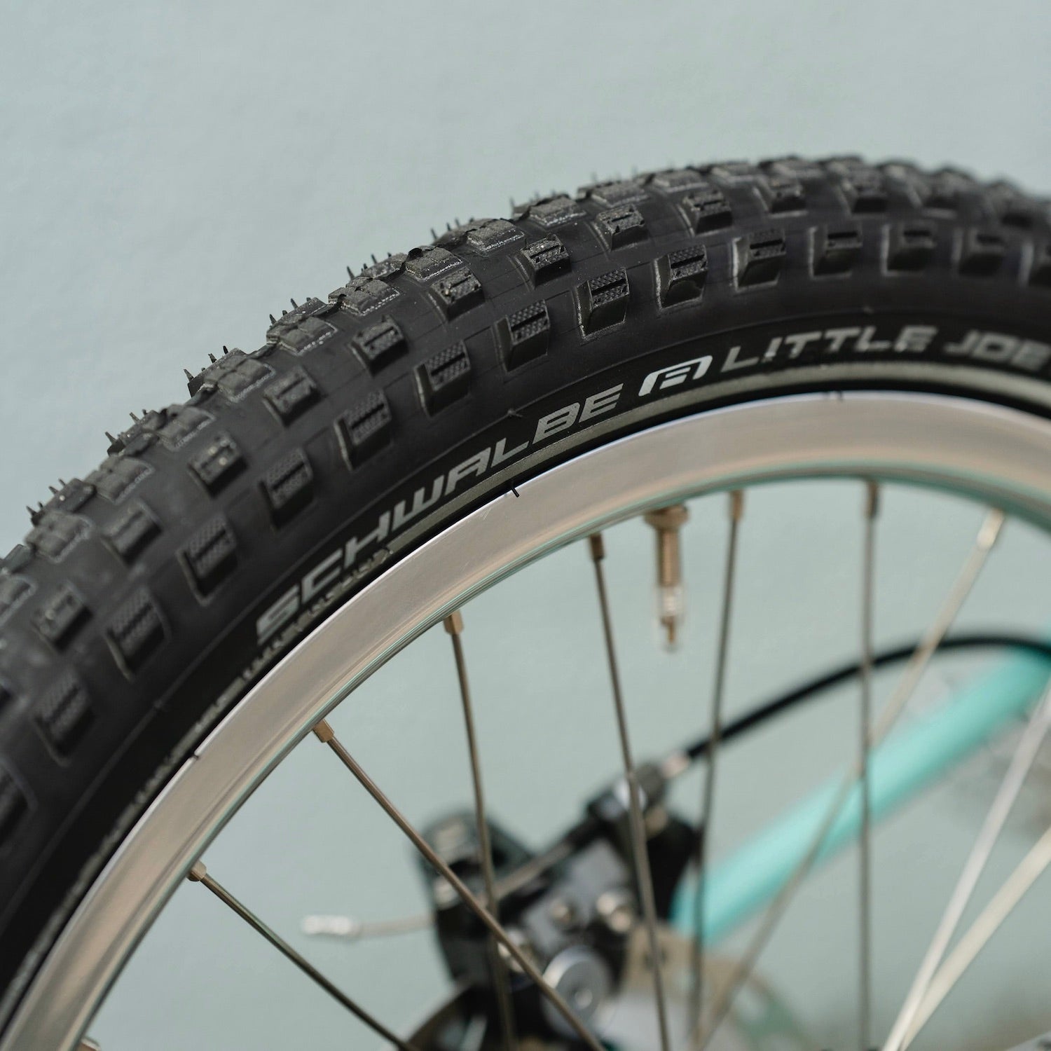 SCHWALBE Little Joe