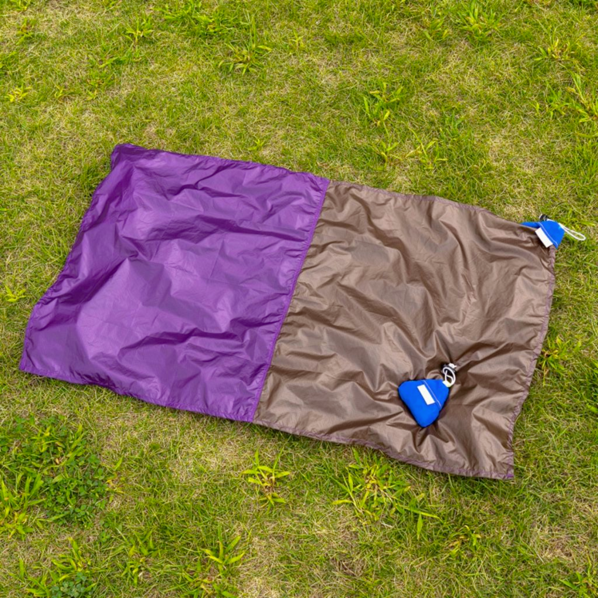 BLUE LUG Onigiri Sheet