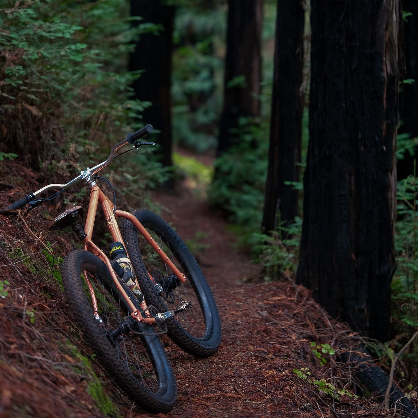 SKLAR BIKES PBJ Frame Set