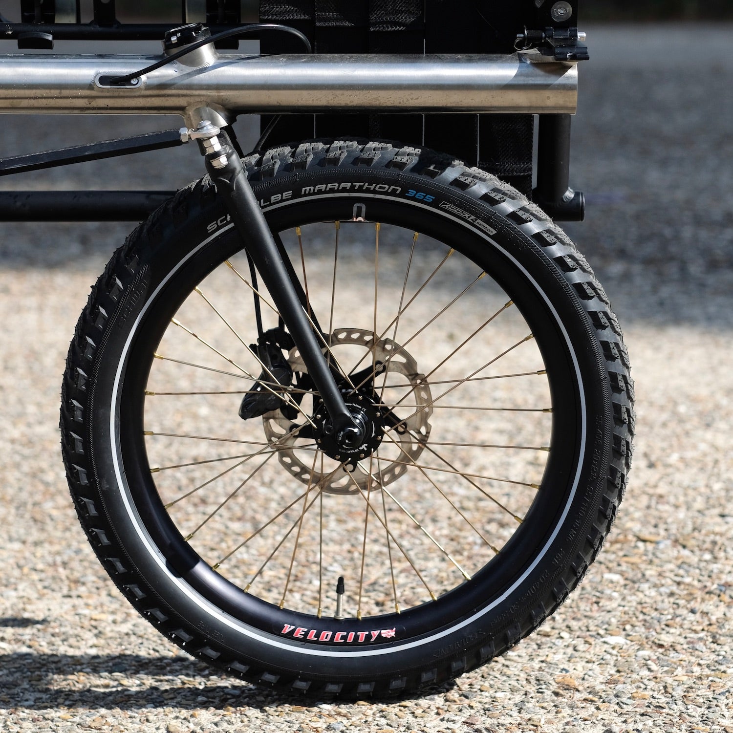 SCHWALBE Marathon 365