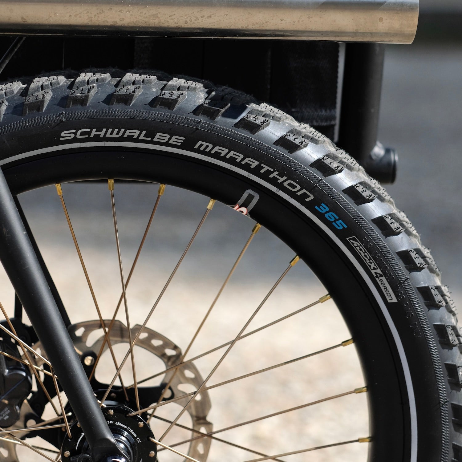 SCHWALBE Marathon 365