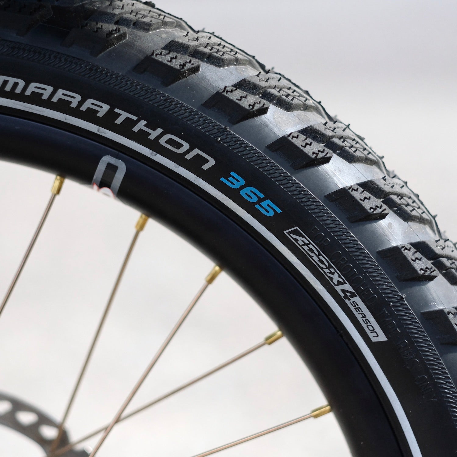 SCHWALBE Marathon 365