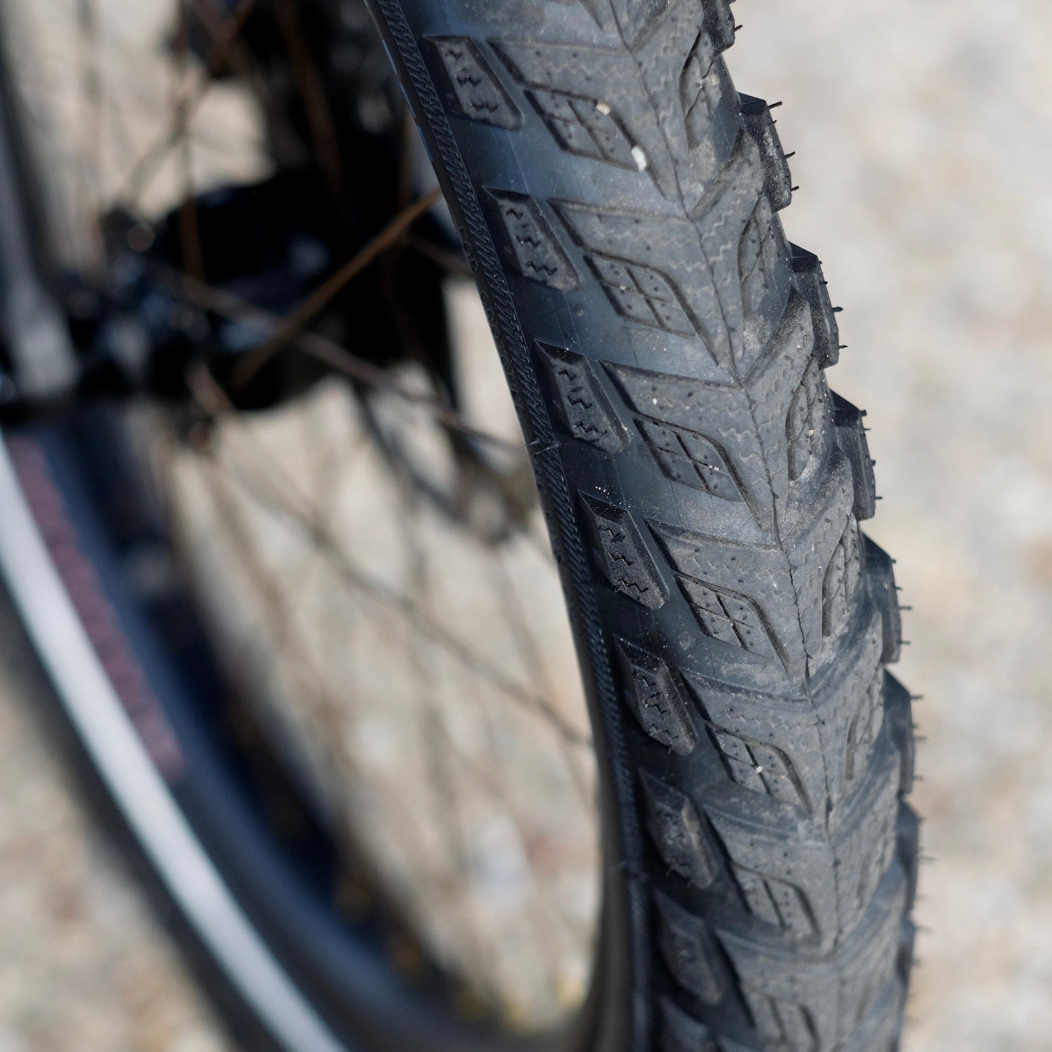 SCHWALBE Marathon 365