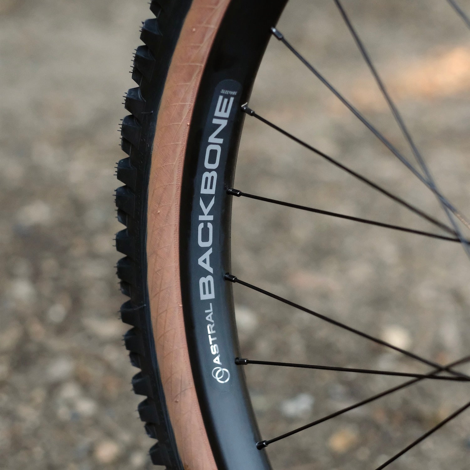 BLACKCAT BICYCLES Swami Circles Original Complete Bike