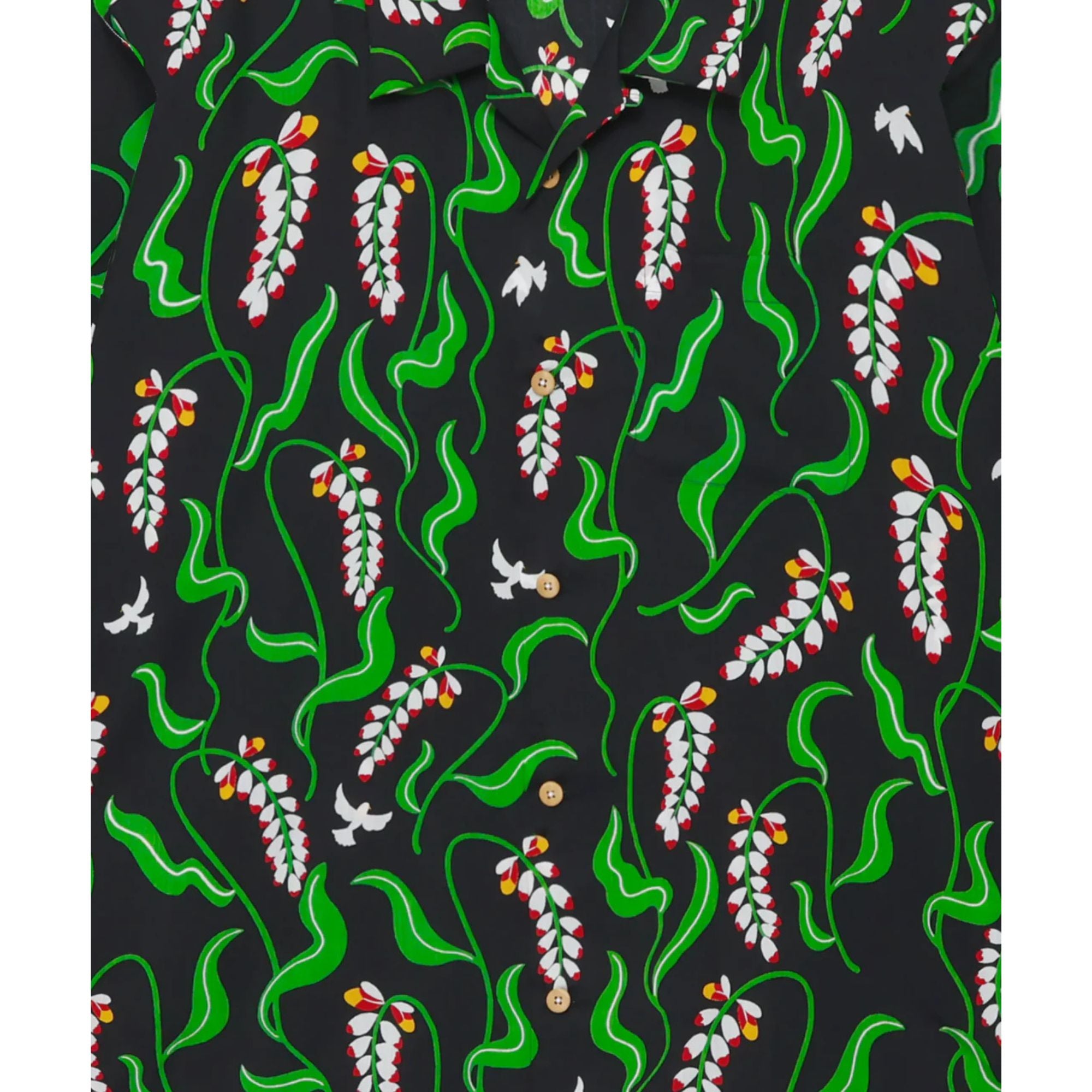 EANBE Long Sleeve Shirt / 月桃