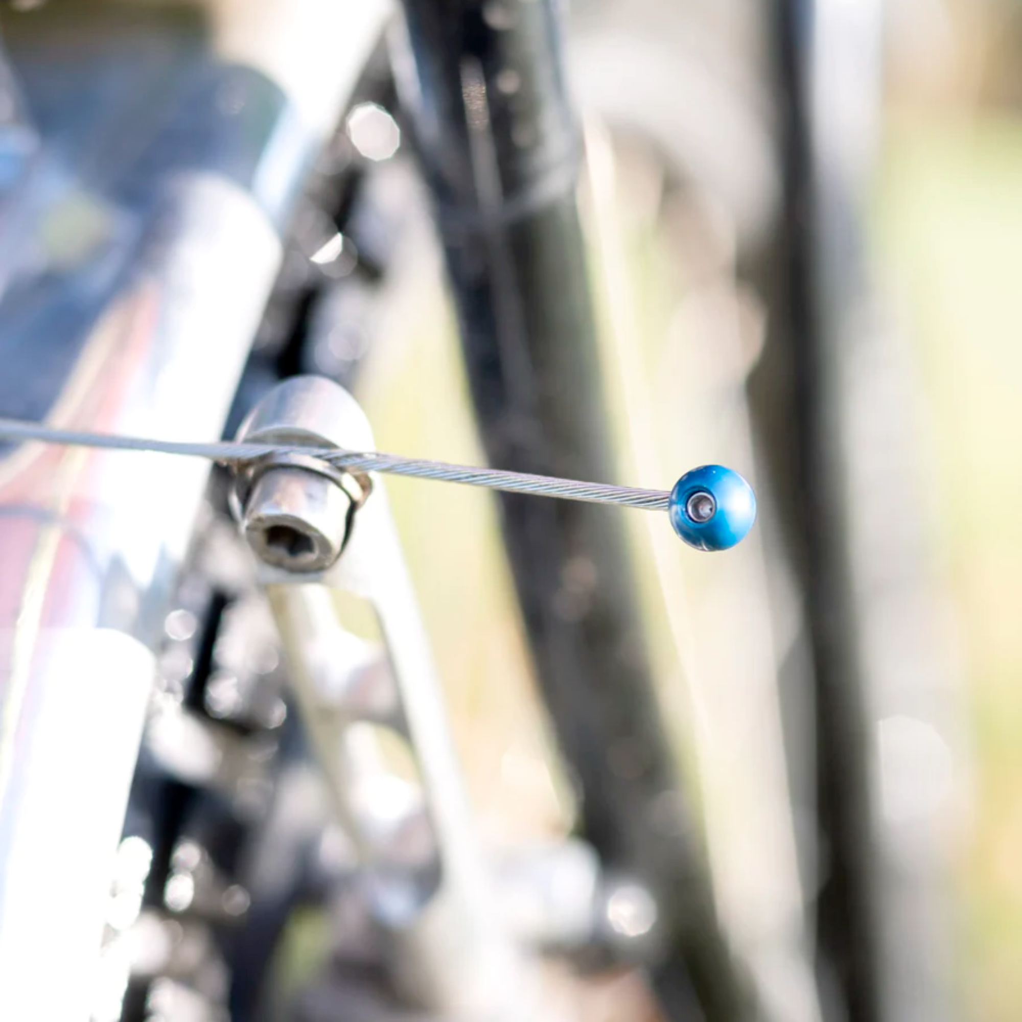 FORAGER CYCLES Cable Cherries