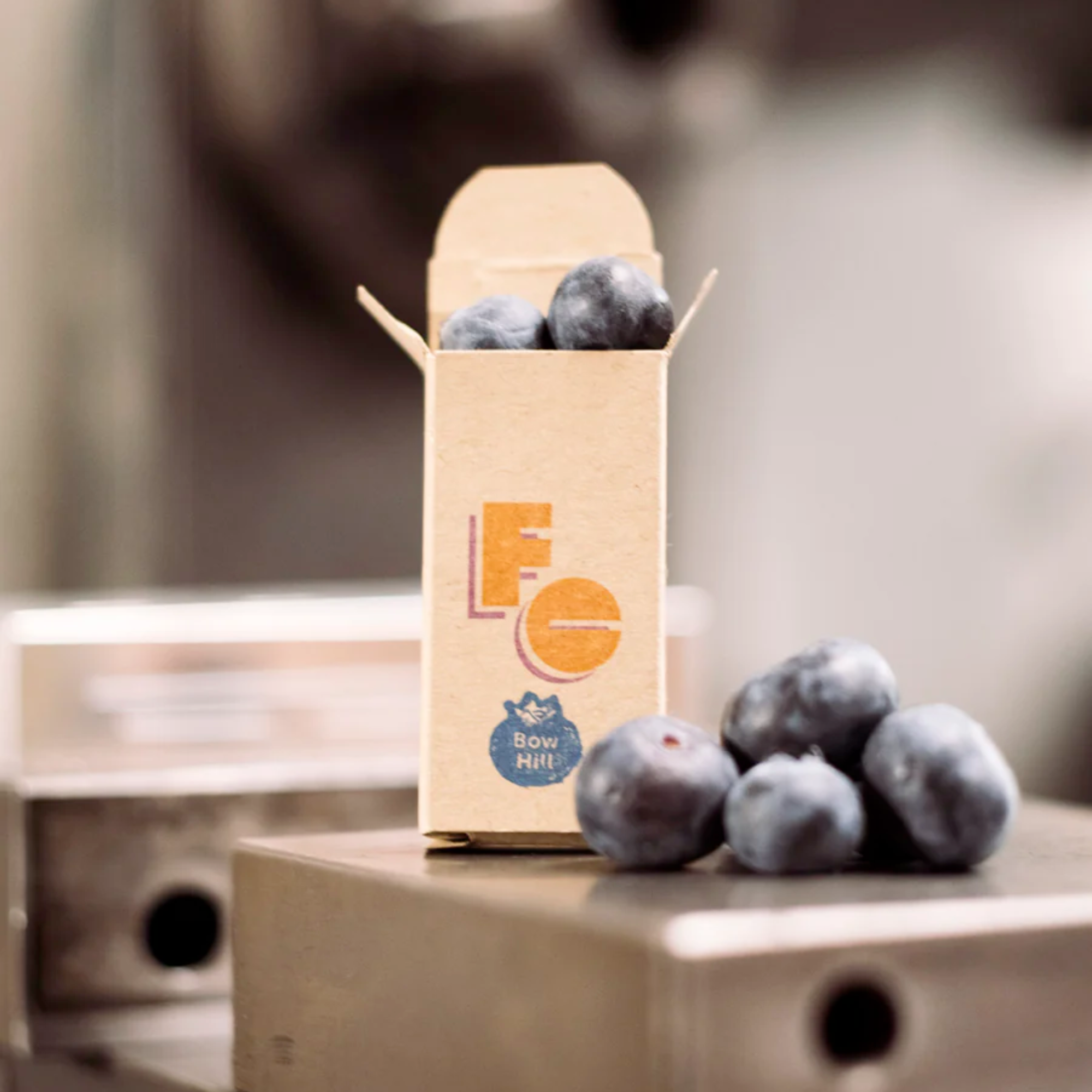 FORAGER CYCLES Cable Cherries