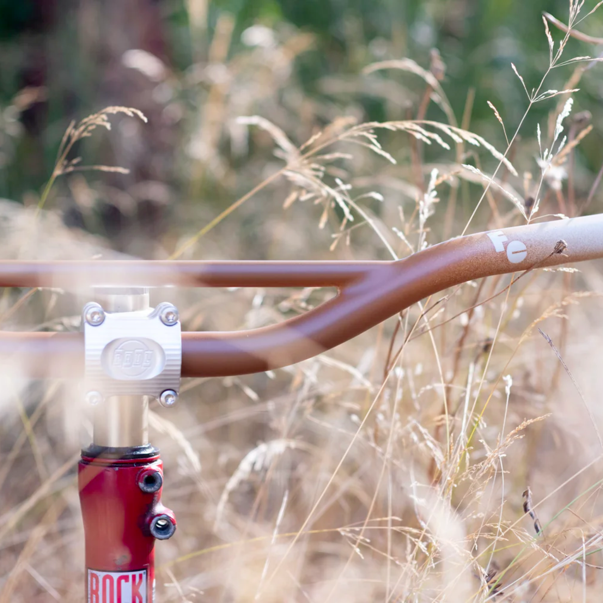 FORAGER CYCLES Oyster Bar