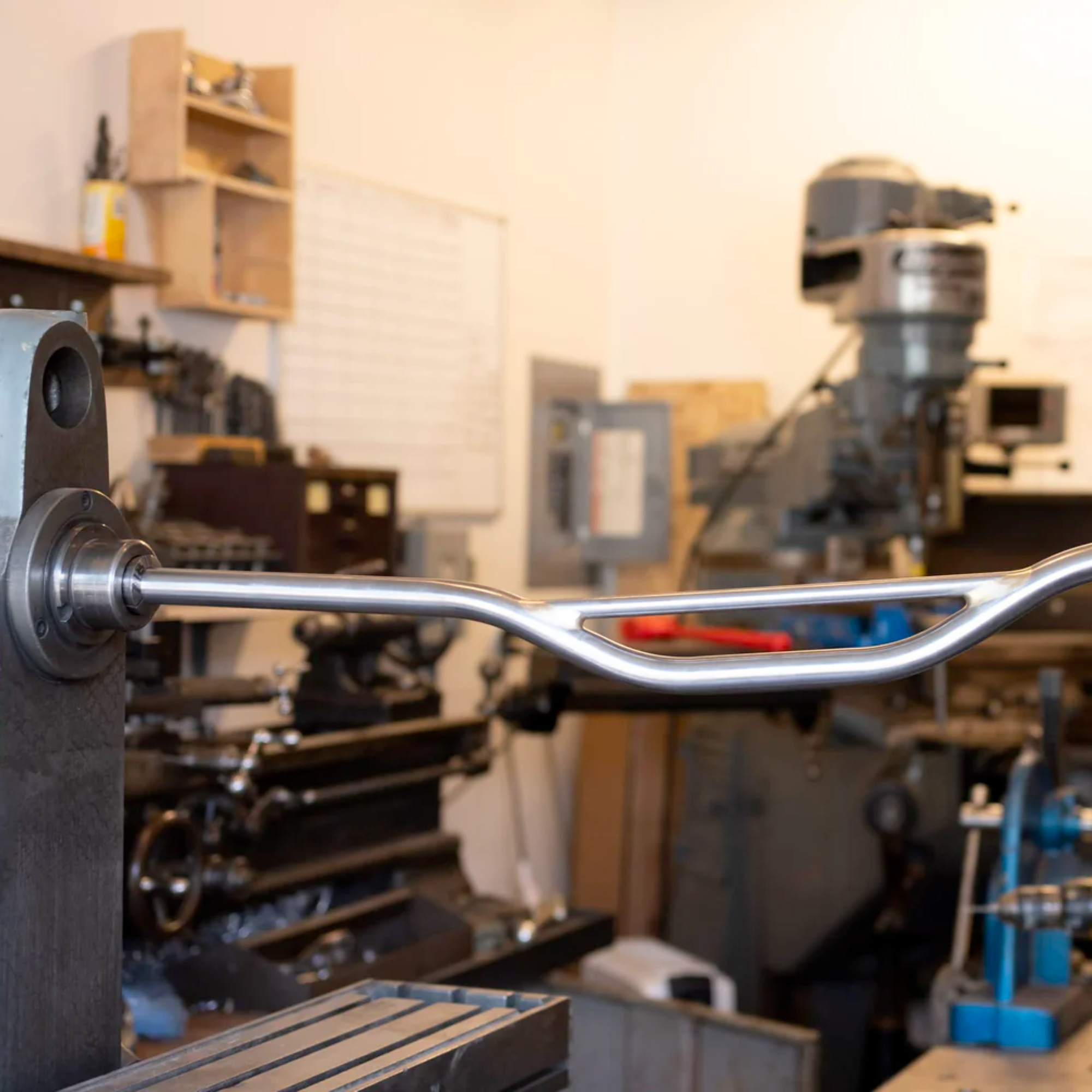 FORAGER CYCLES Oyster Bar