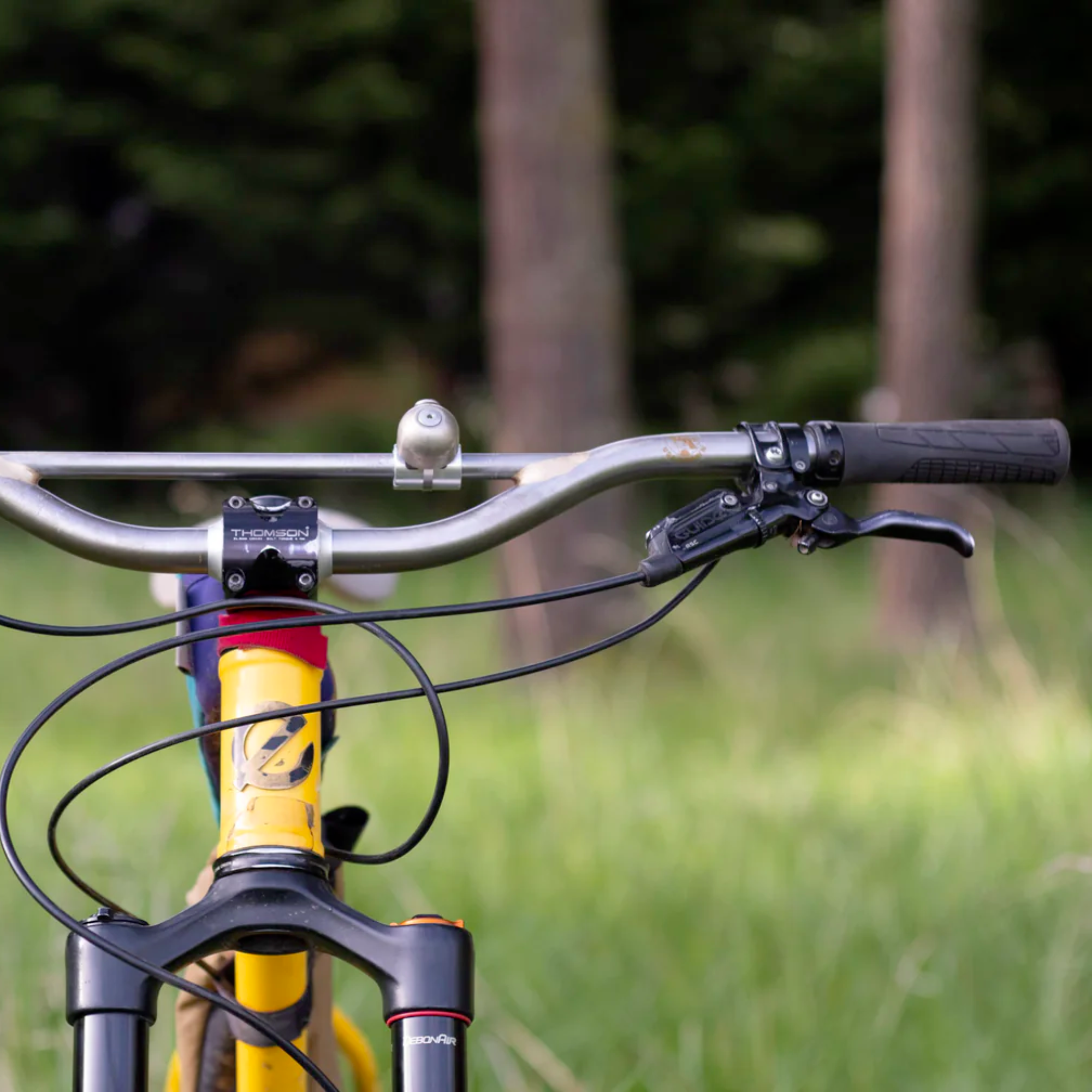 FORAGER CYCLES Oyster Bar