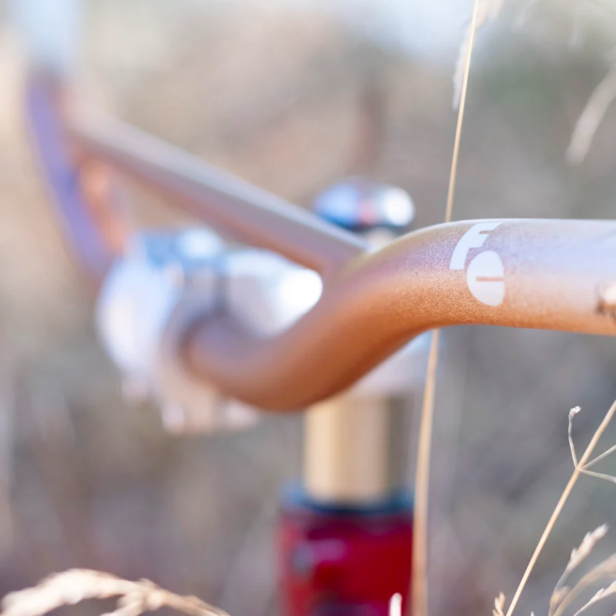 FORAGER CYCLES Oyster Bar