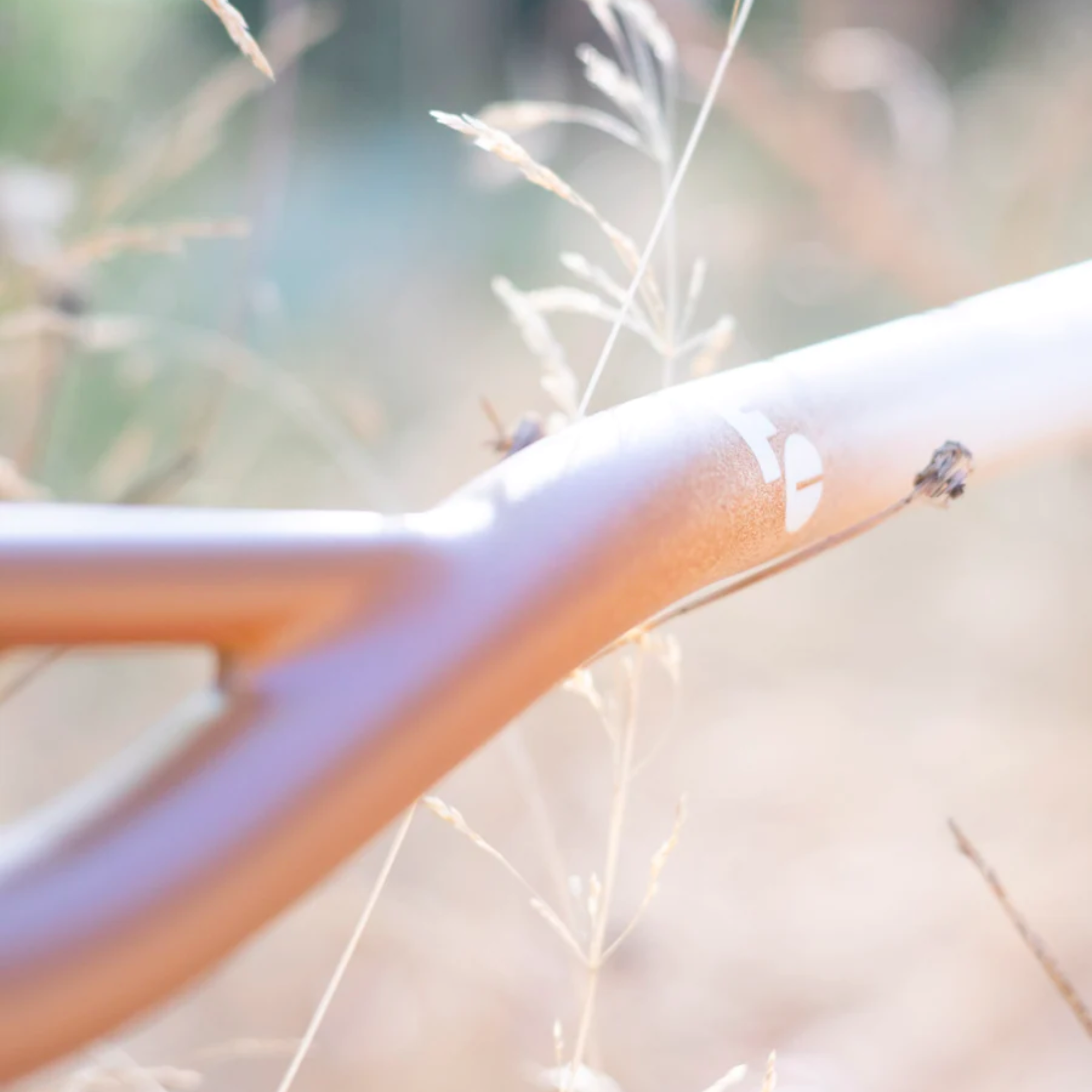 FORAGER CYCLES Oyster Bar